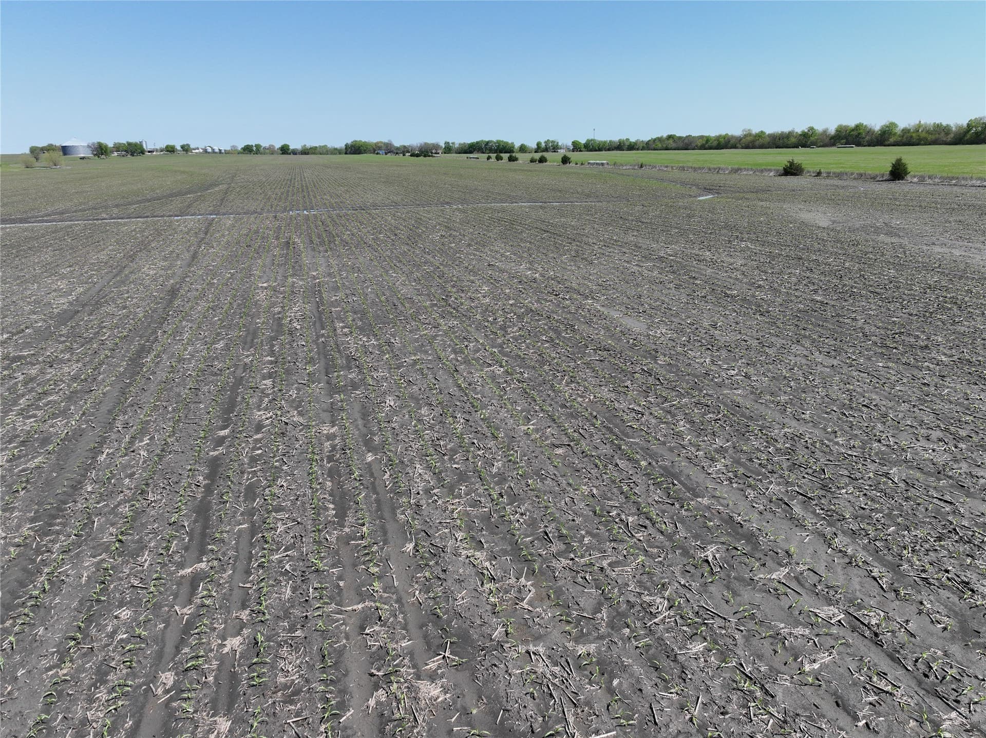 35.64 acres in Grayson County - photo 7