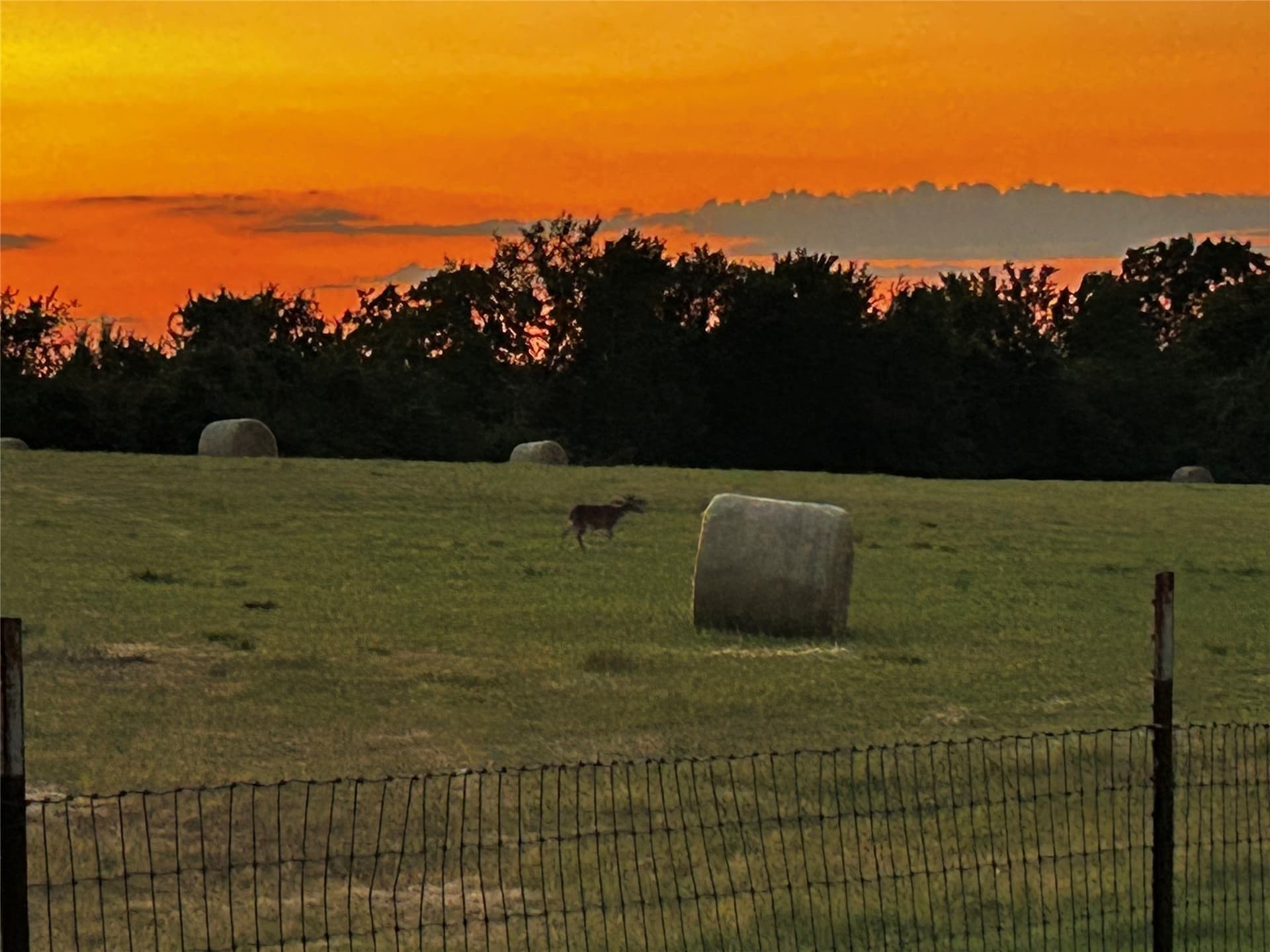20 acres in Parker County - photo 32