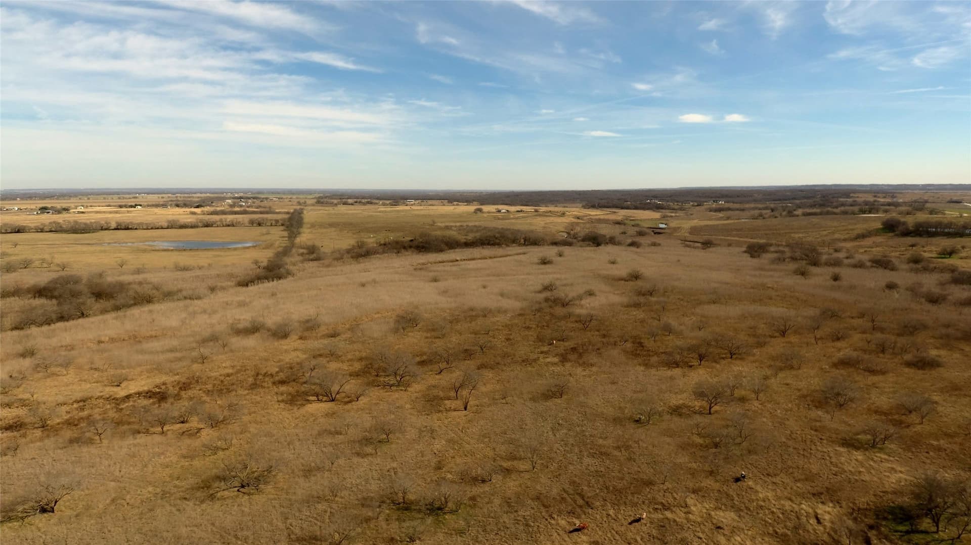 200 acres in Hill County - photo 38