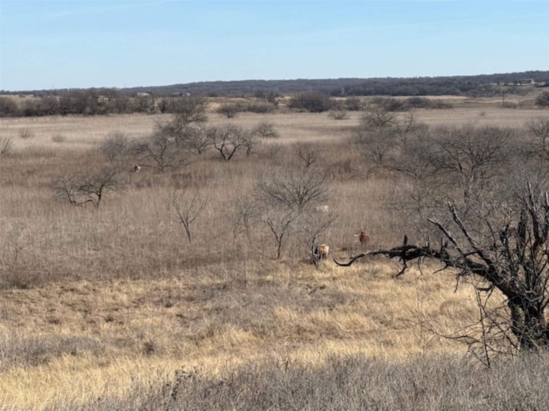 200 acres in Hill County - photo 26