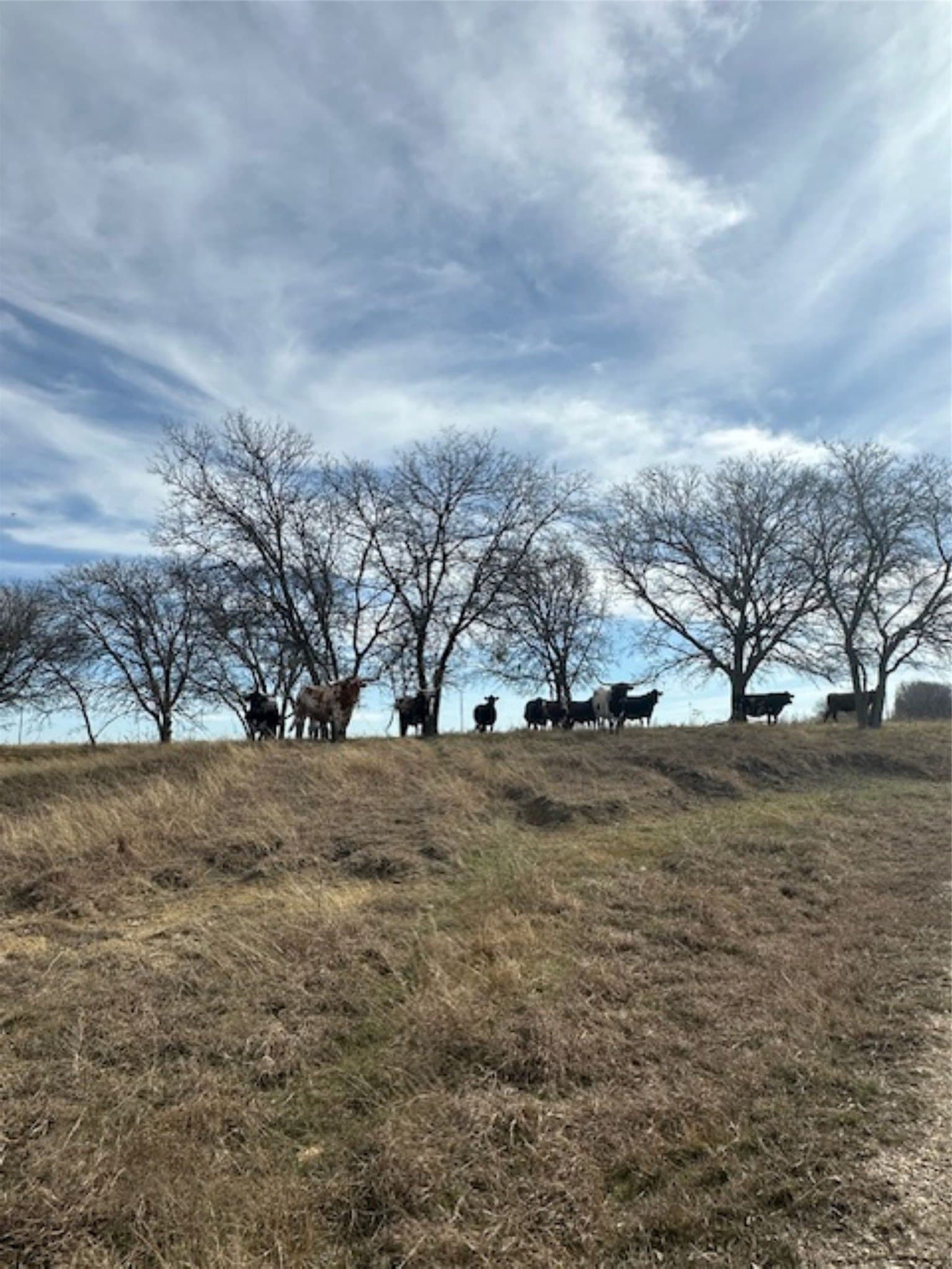 200 acres in Hill County - photo 36