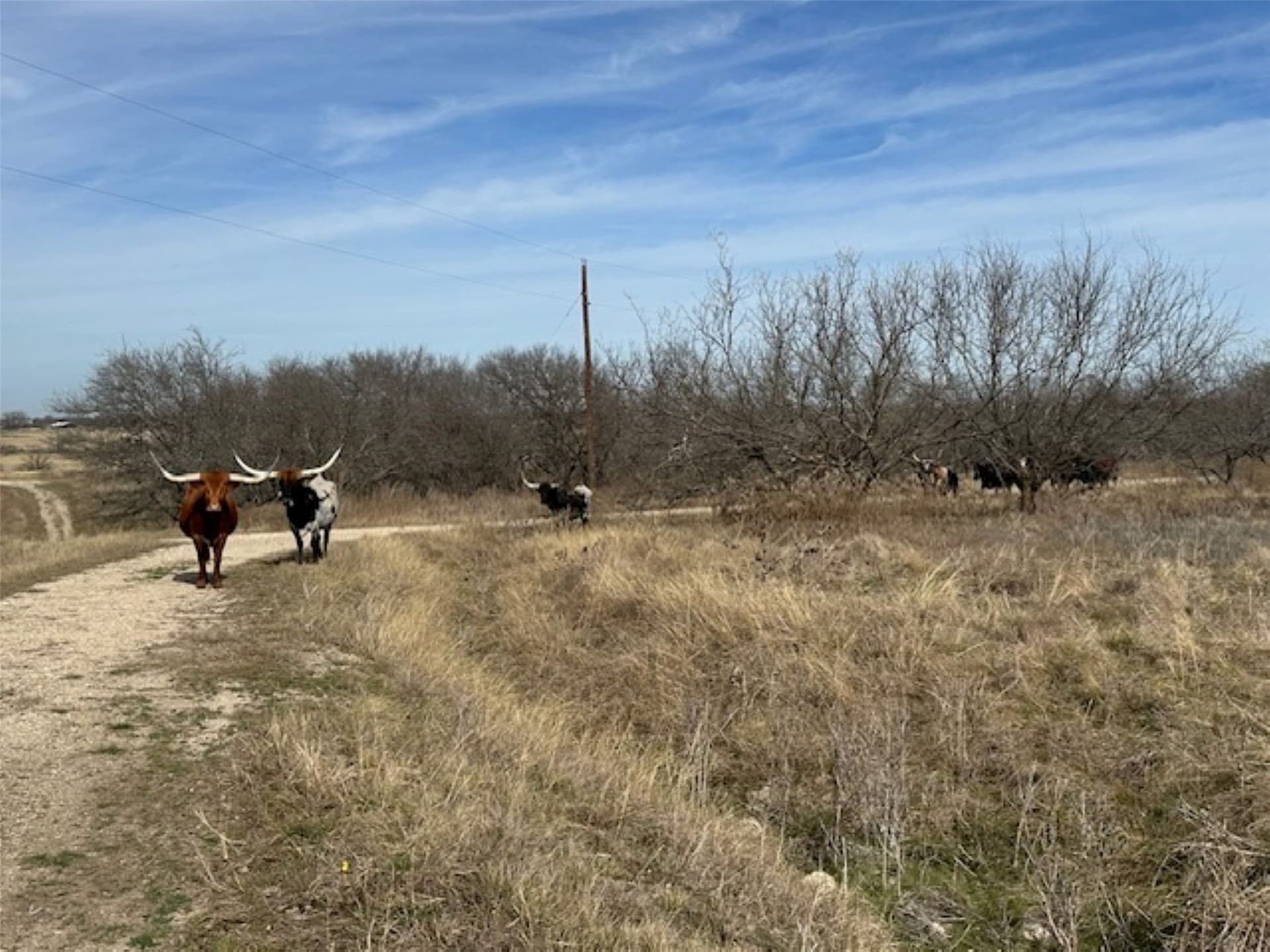200 acres in Hill County - photo 32