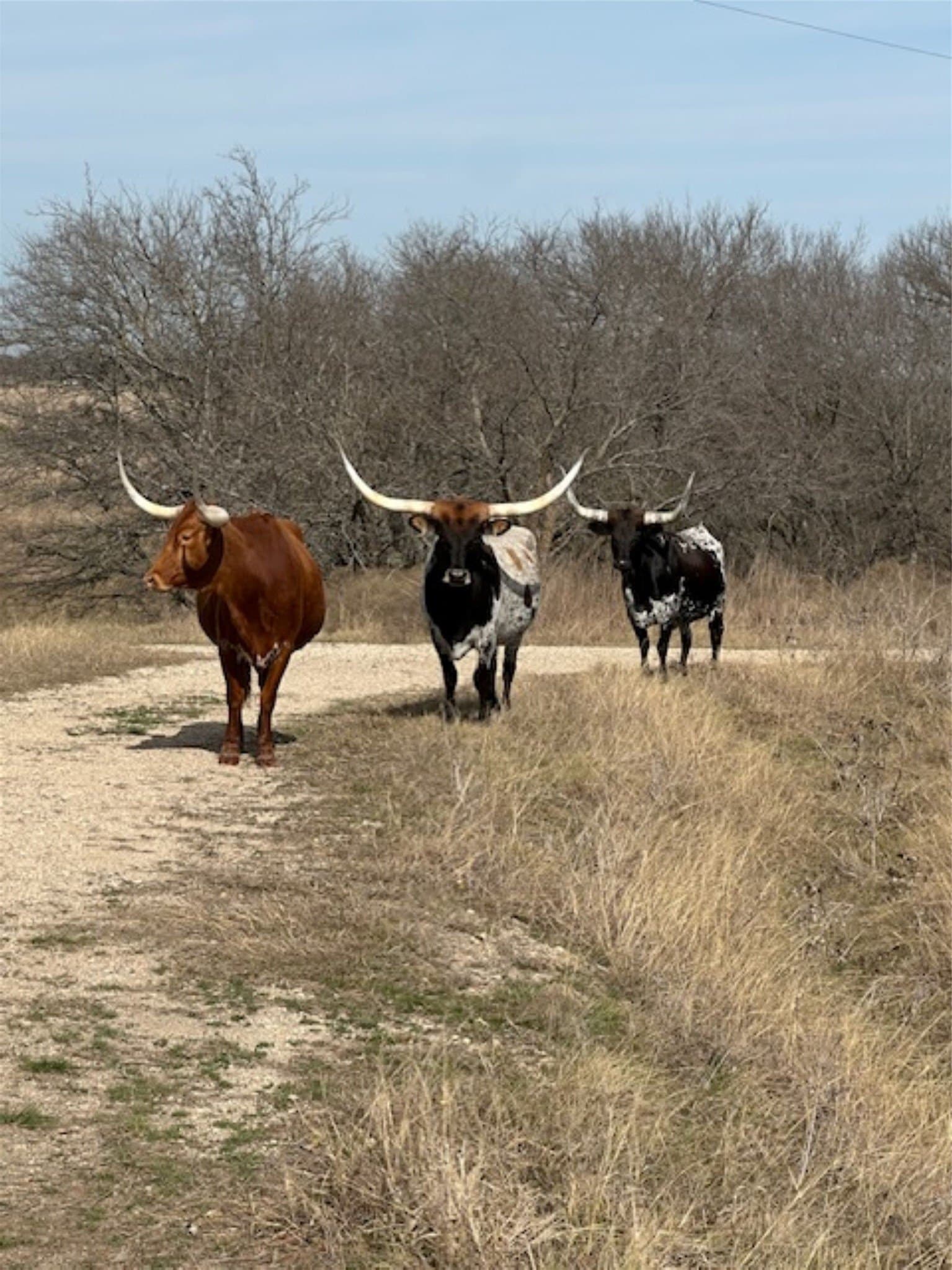 200 acres in Hill County - photo 33