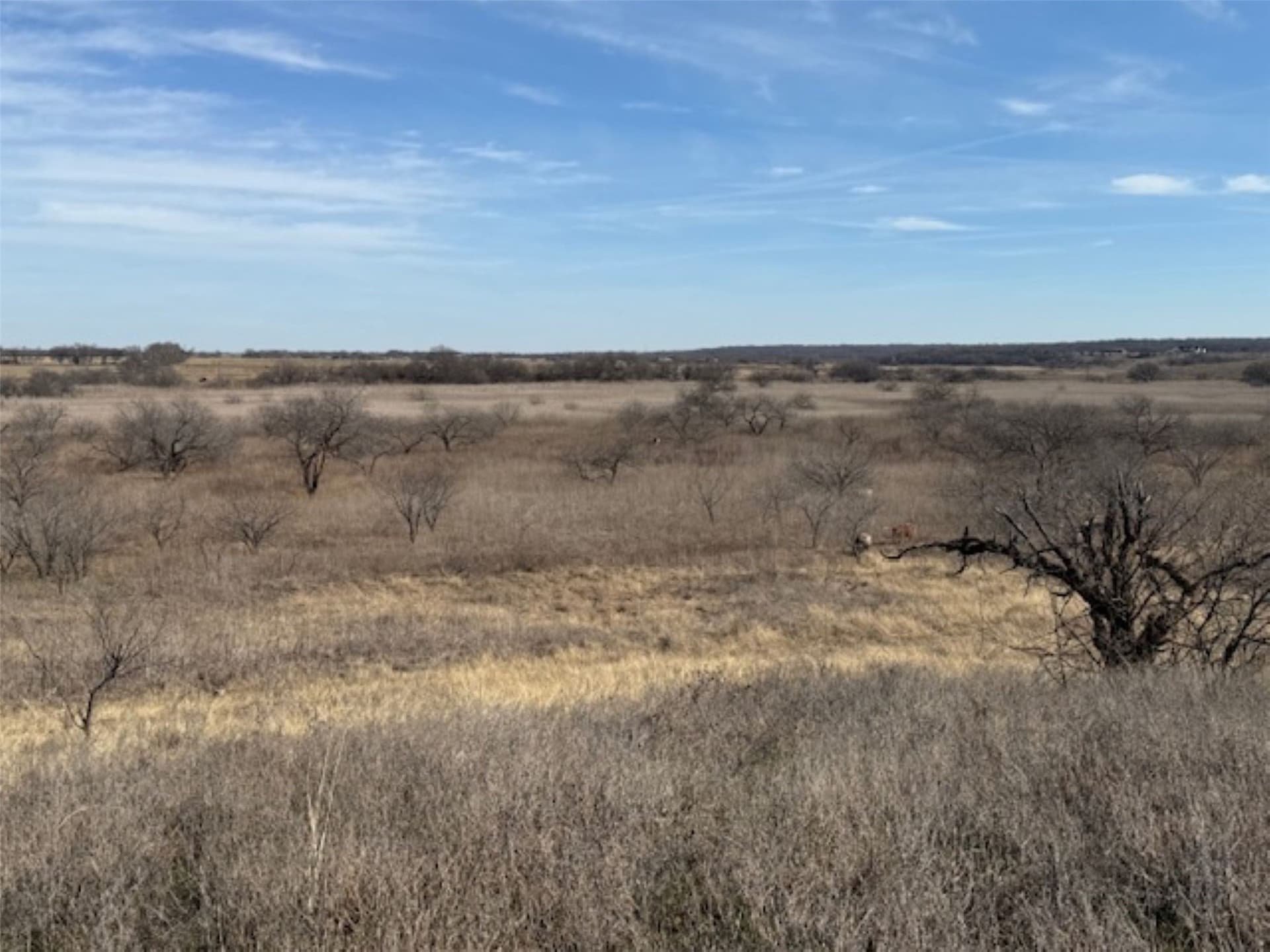 200 acres in Hill County - photo 27