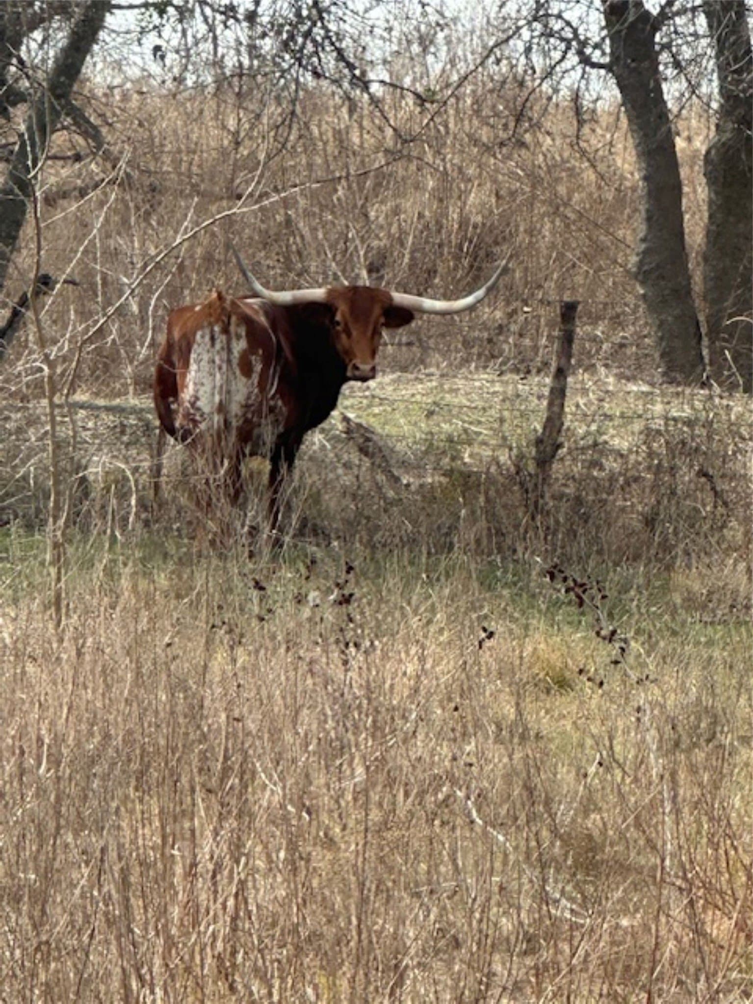 200 acres in Hill County - photo 35