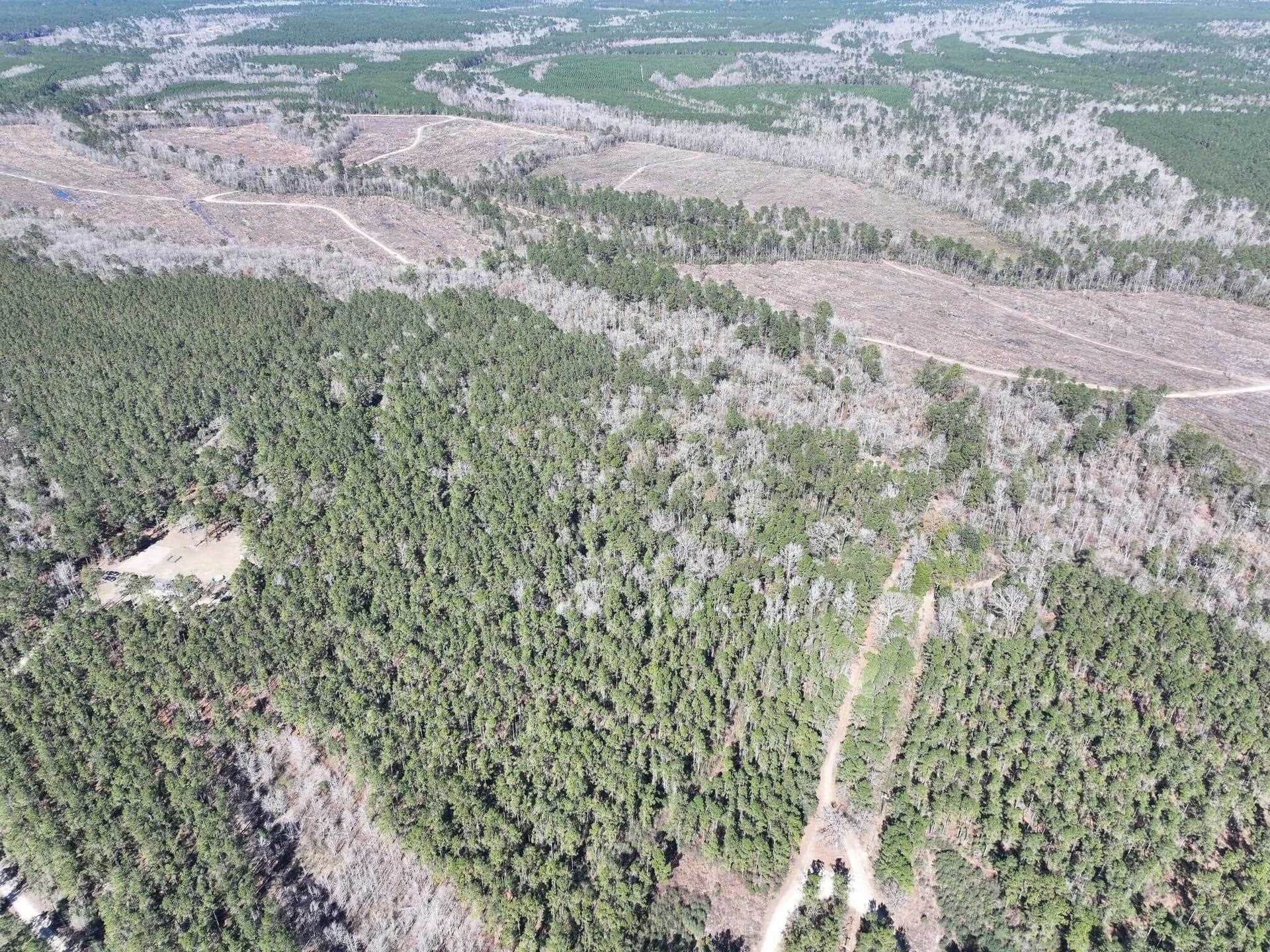 11.68 acres in Newton County gallery image 4