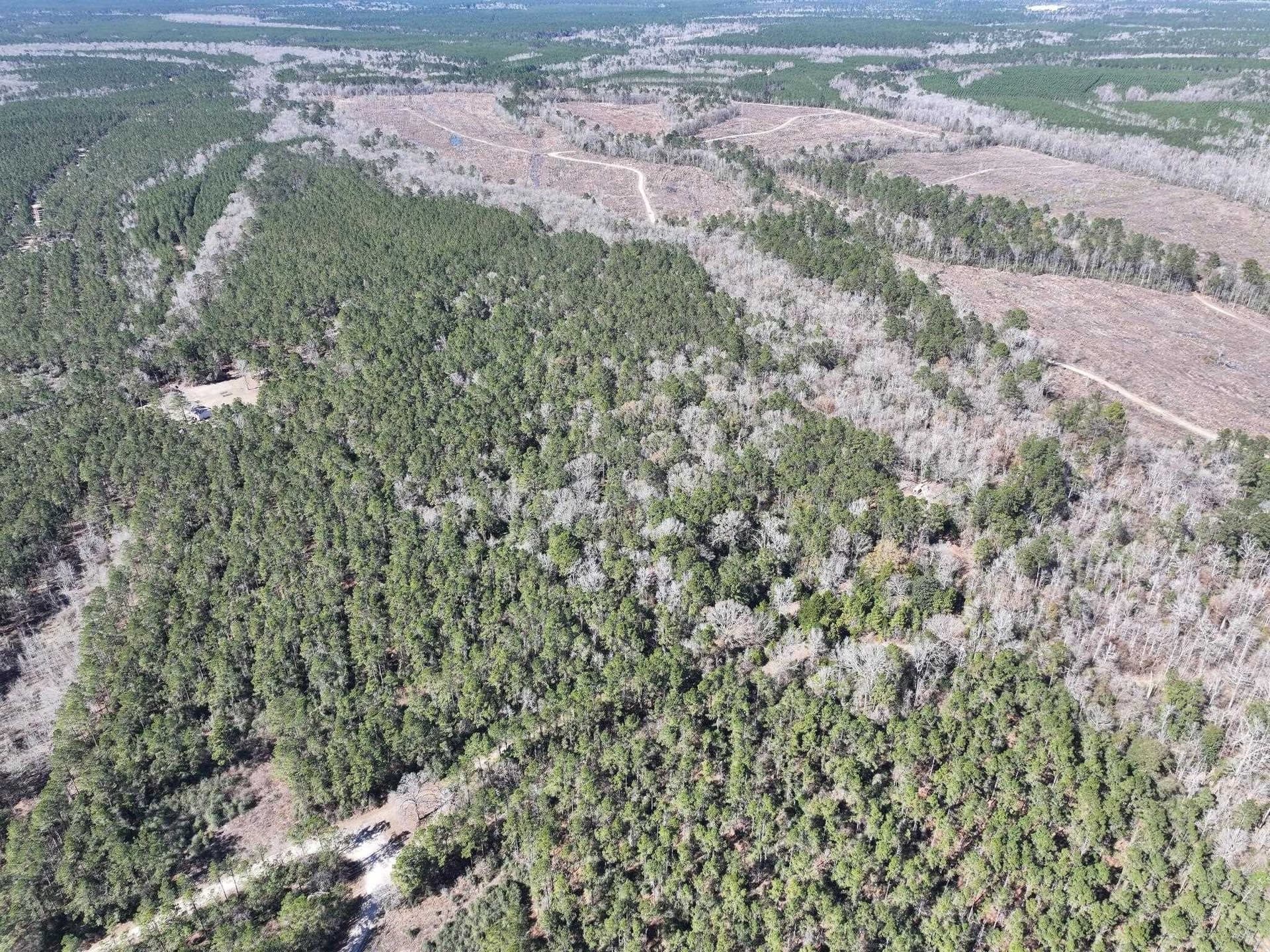 11.68 acres in Newton County gallery image 3