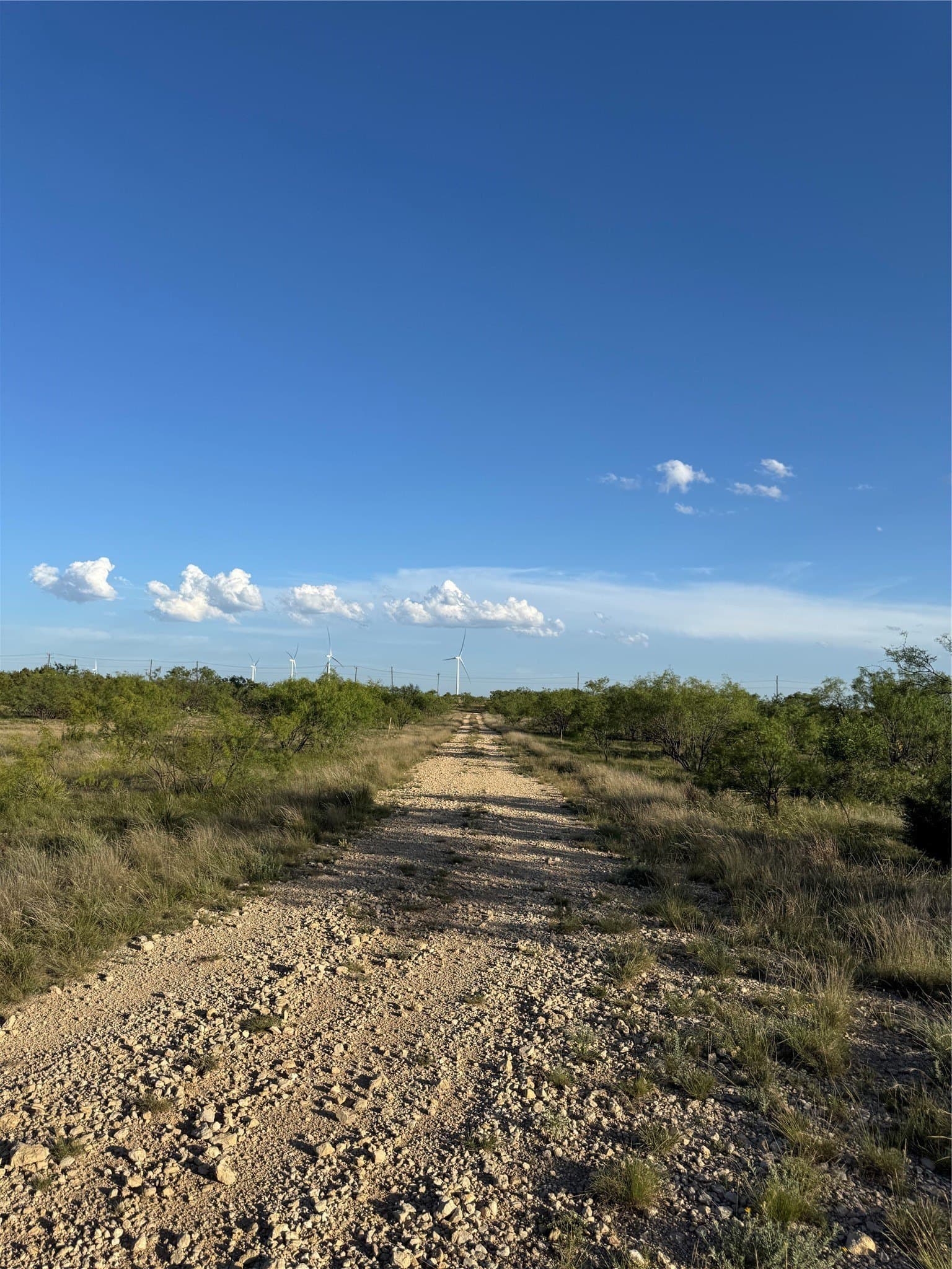 120.26 acres in Mitchell County - photo 10