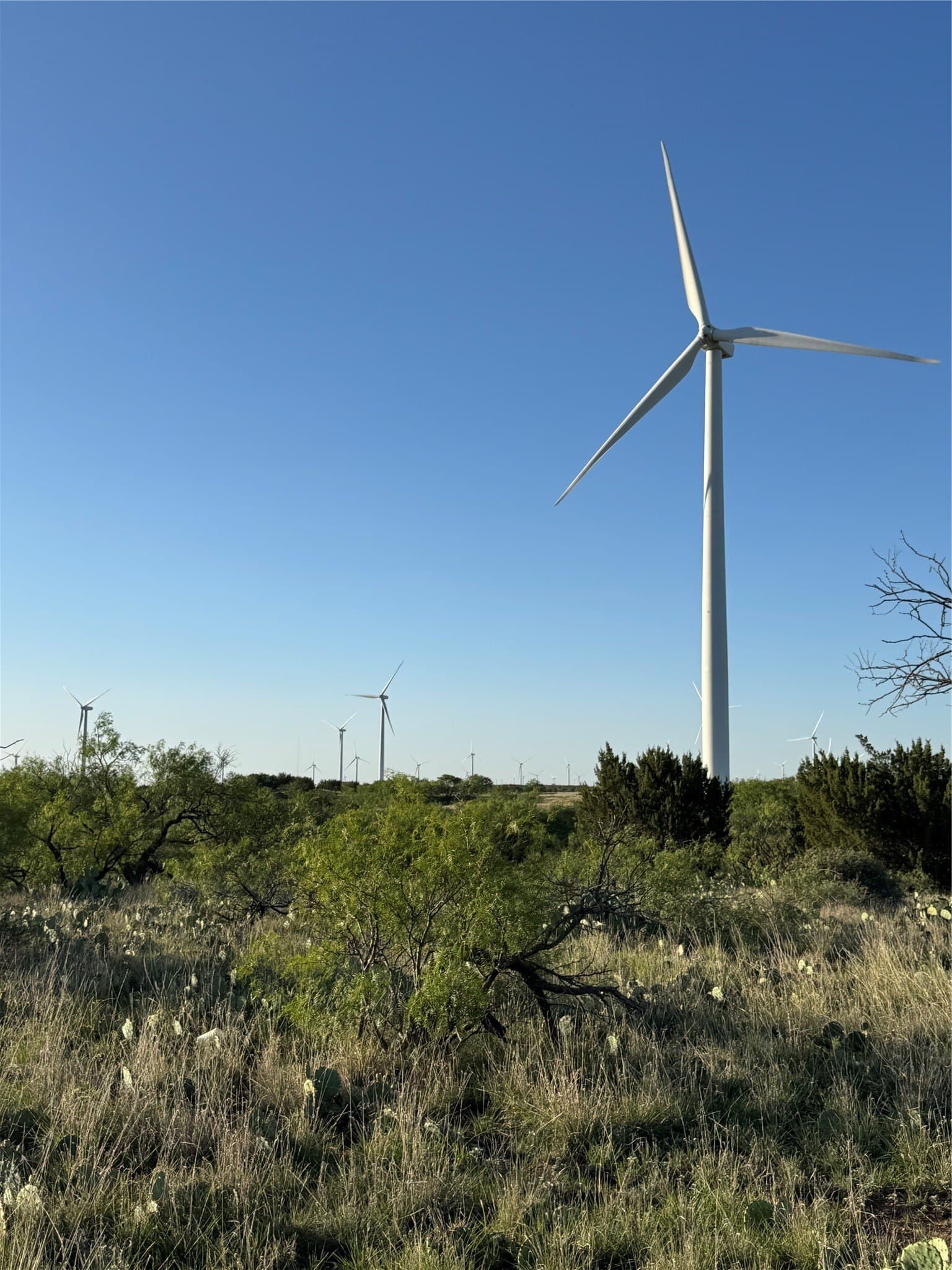 120.26 acres in Mitchell County - photo 20