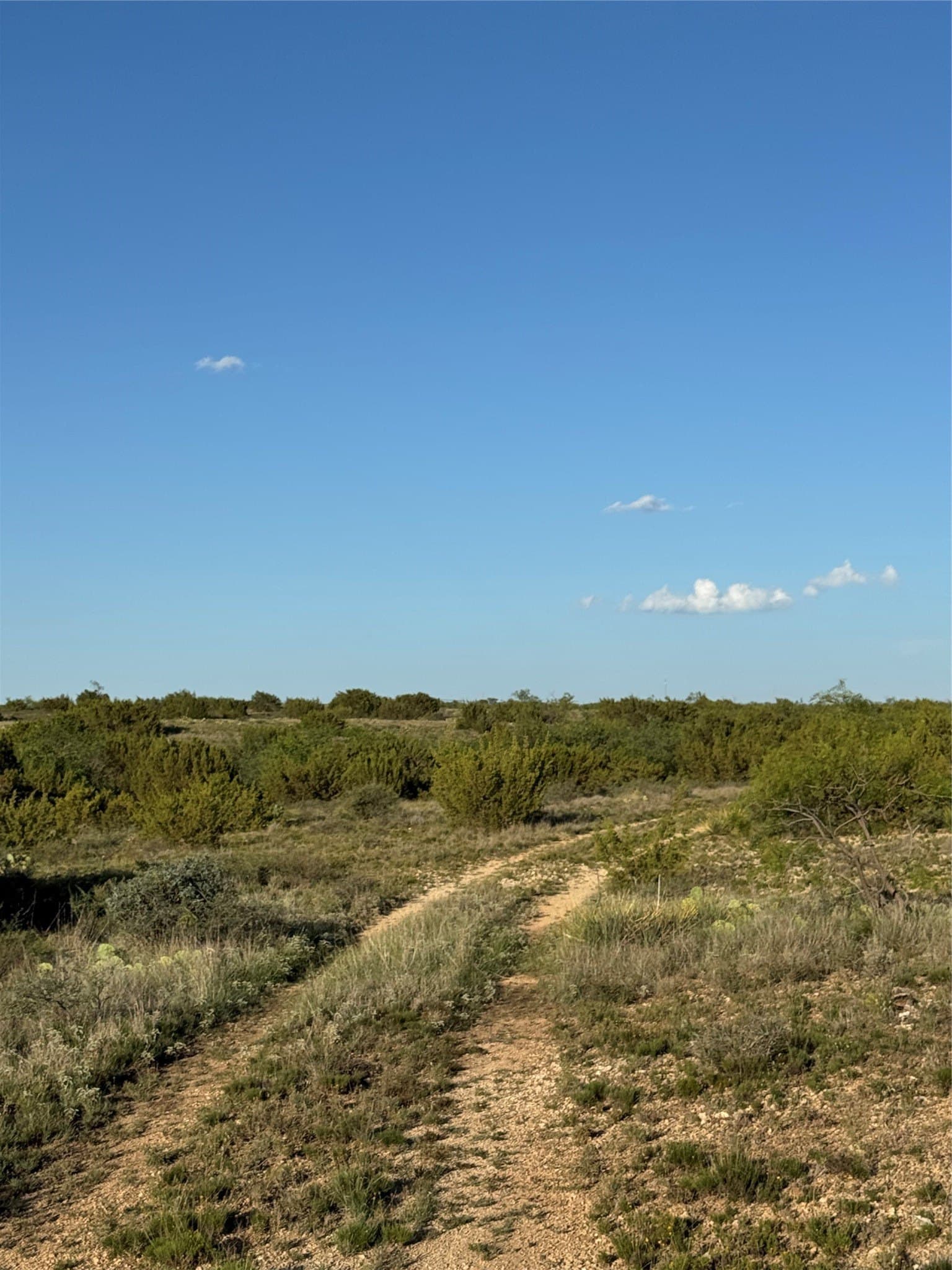 120.26 acres in Mitchell County - photo 19