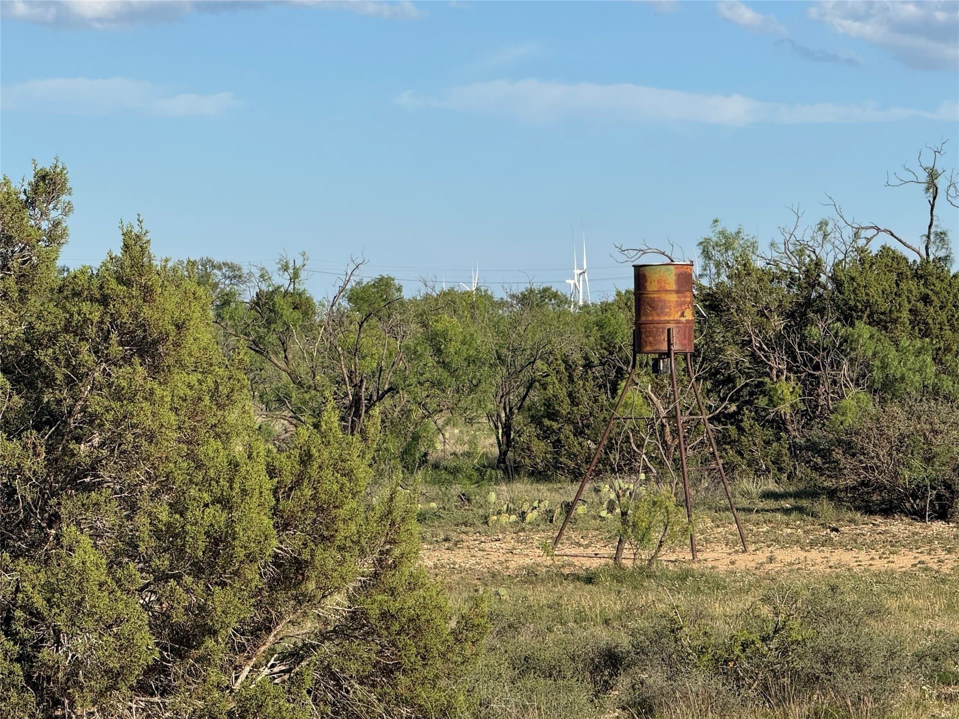 120.26 acres in Mitchell County - photo 15