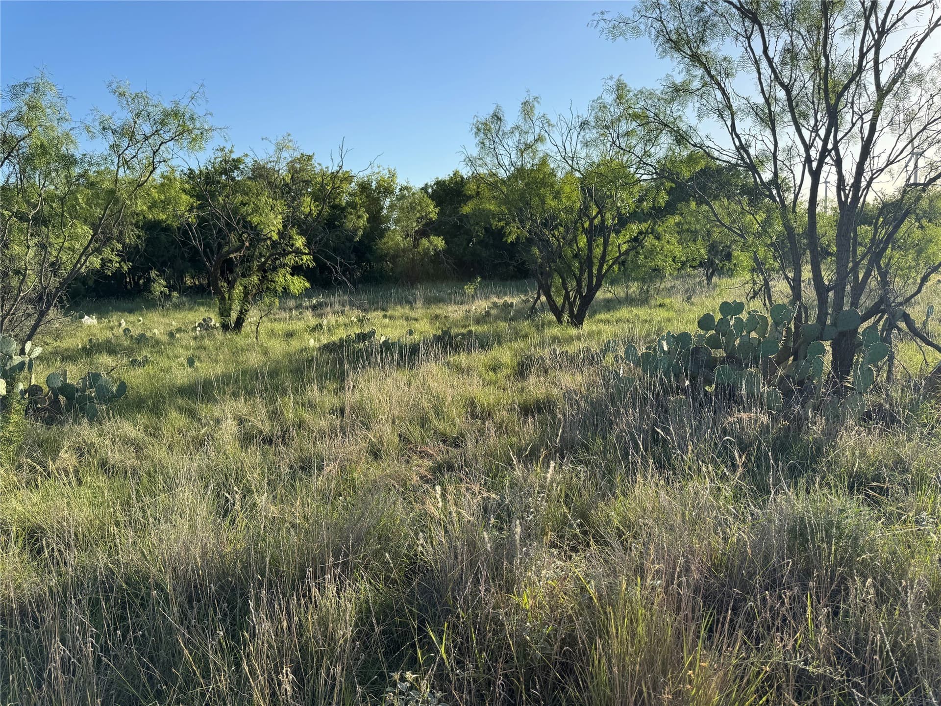 120.26 acres in Mitchell County - photo 11