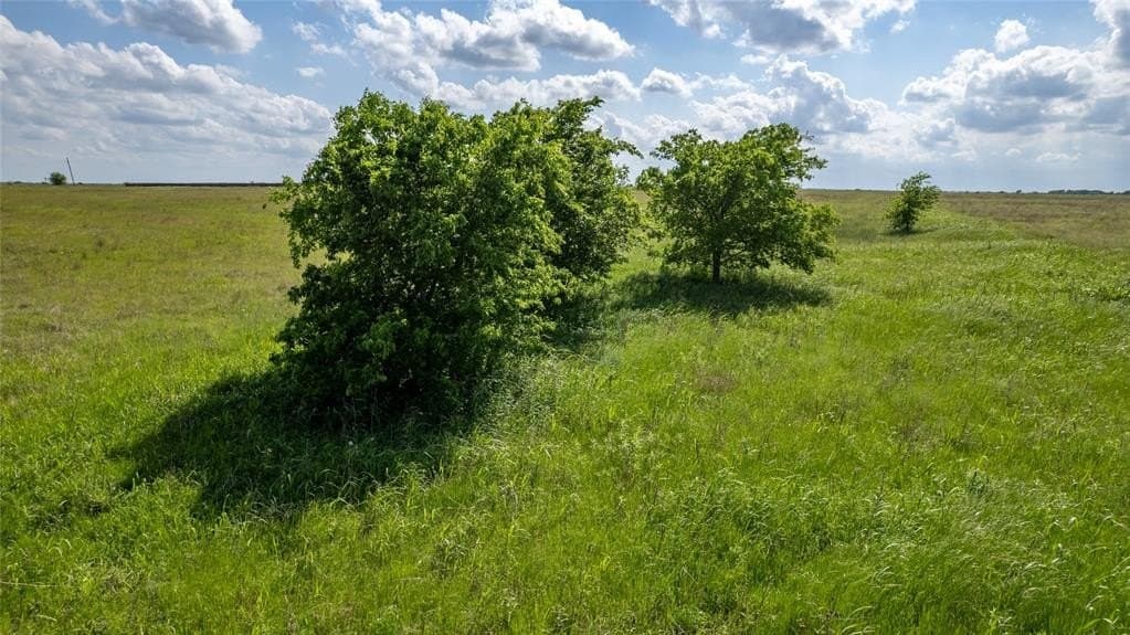 32 acres in Ellis County gallery image 3