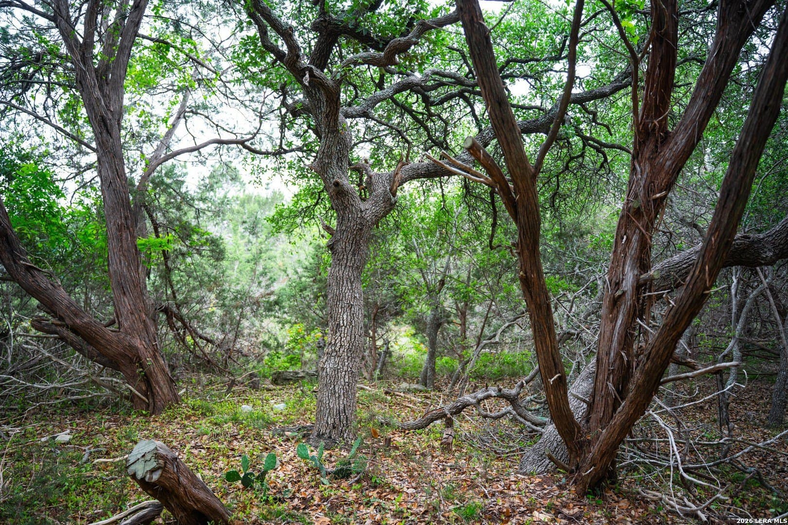 0.95 acres in Bexar County - photo 20