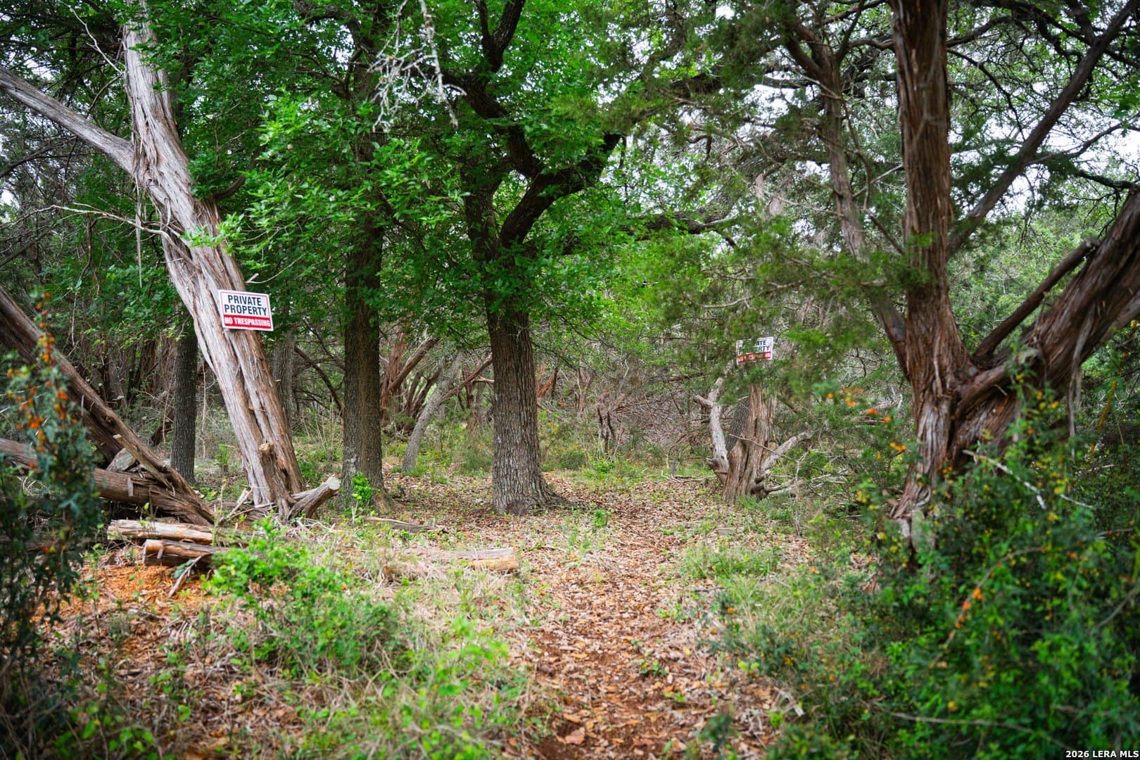 0.95 acres in Bexar County - photo 27