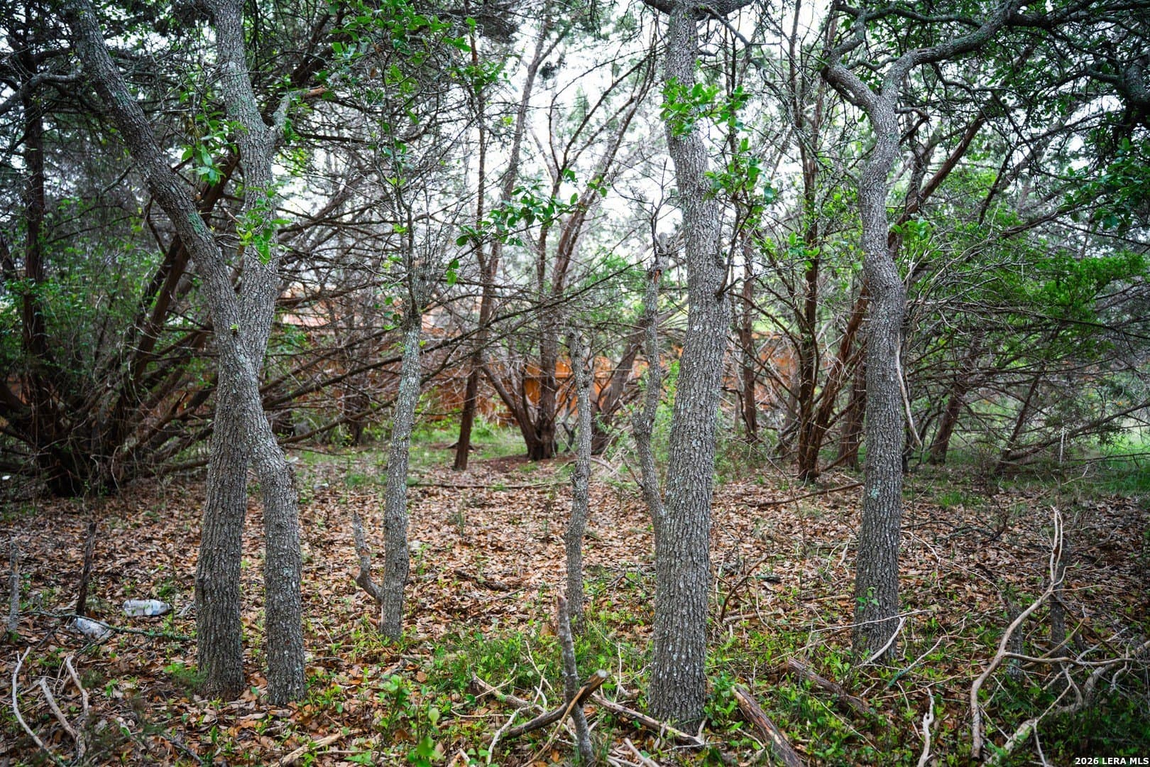 0.95 acres in Bexar County - photo 17