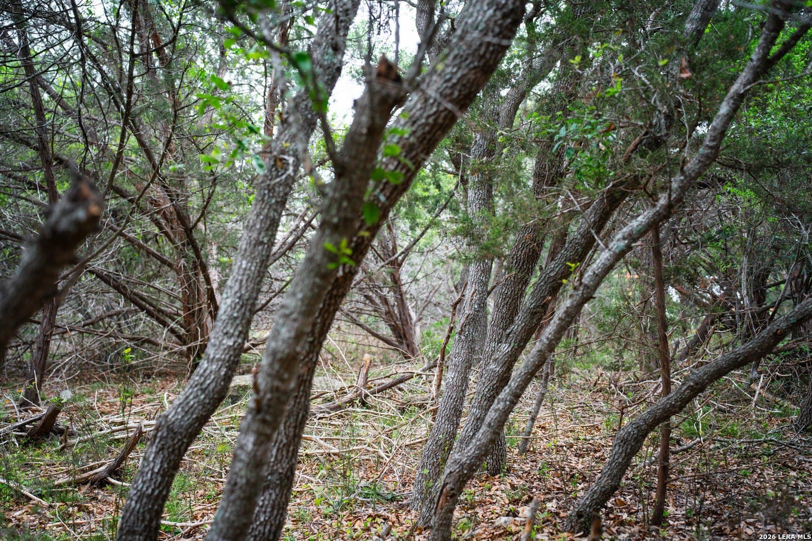 0.95 acres in Bexar County - photo 12