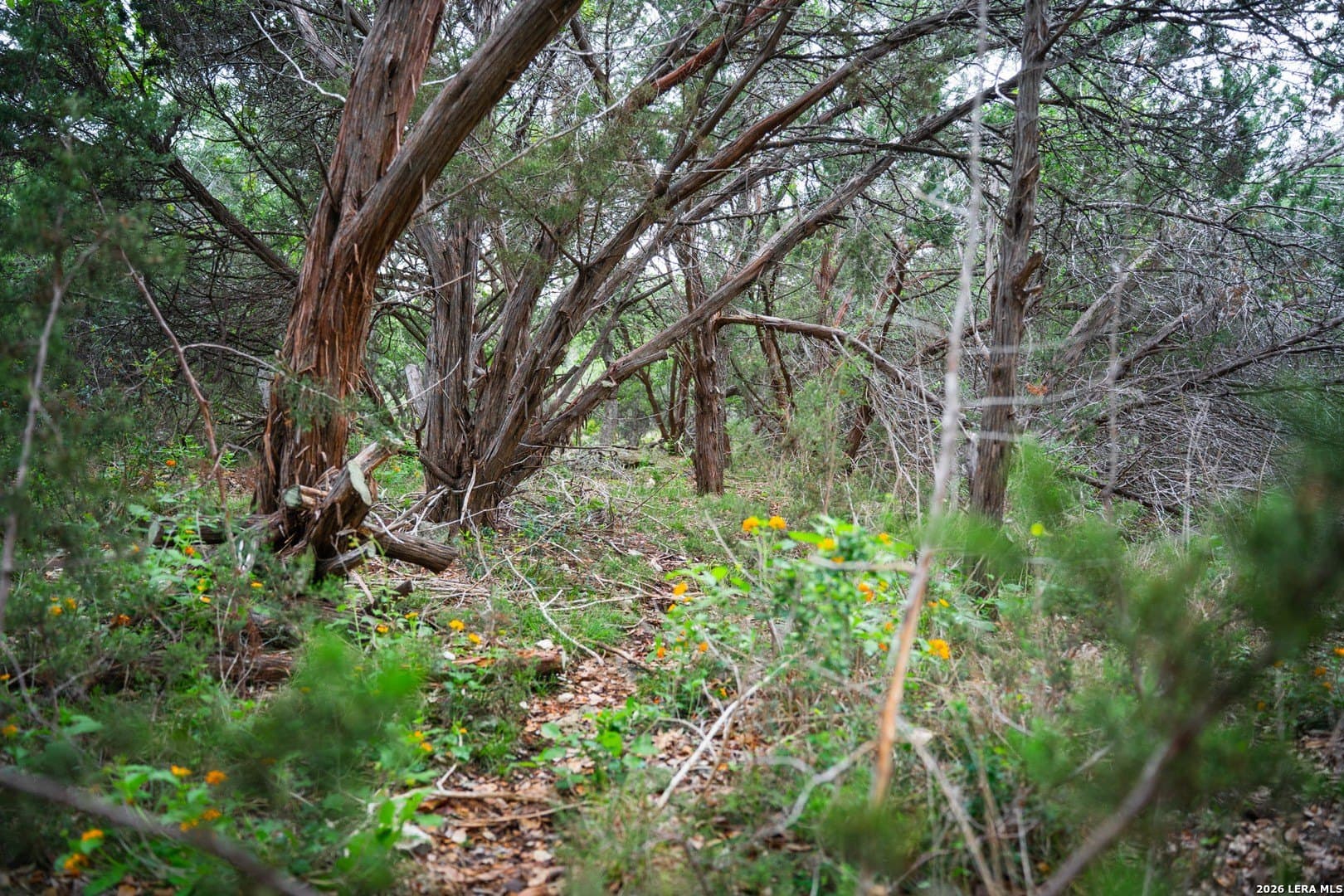 0.95 acres in Bexar County - photo 23