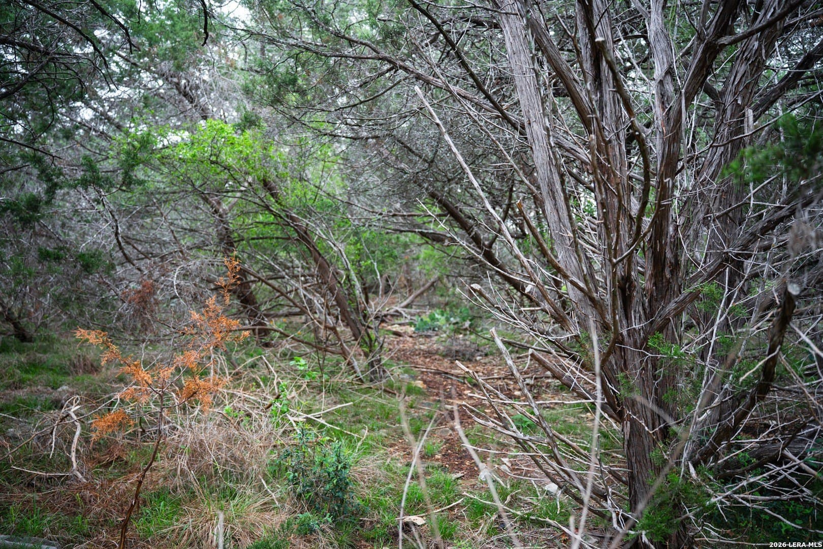 0.95 acres in Bexar County - photo 16