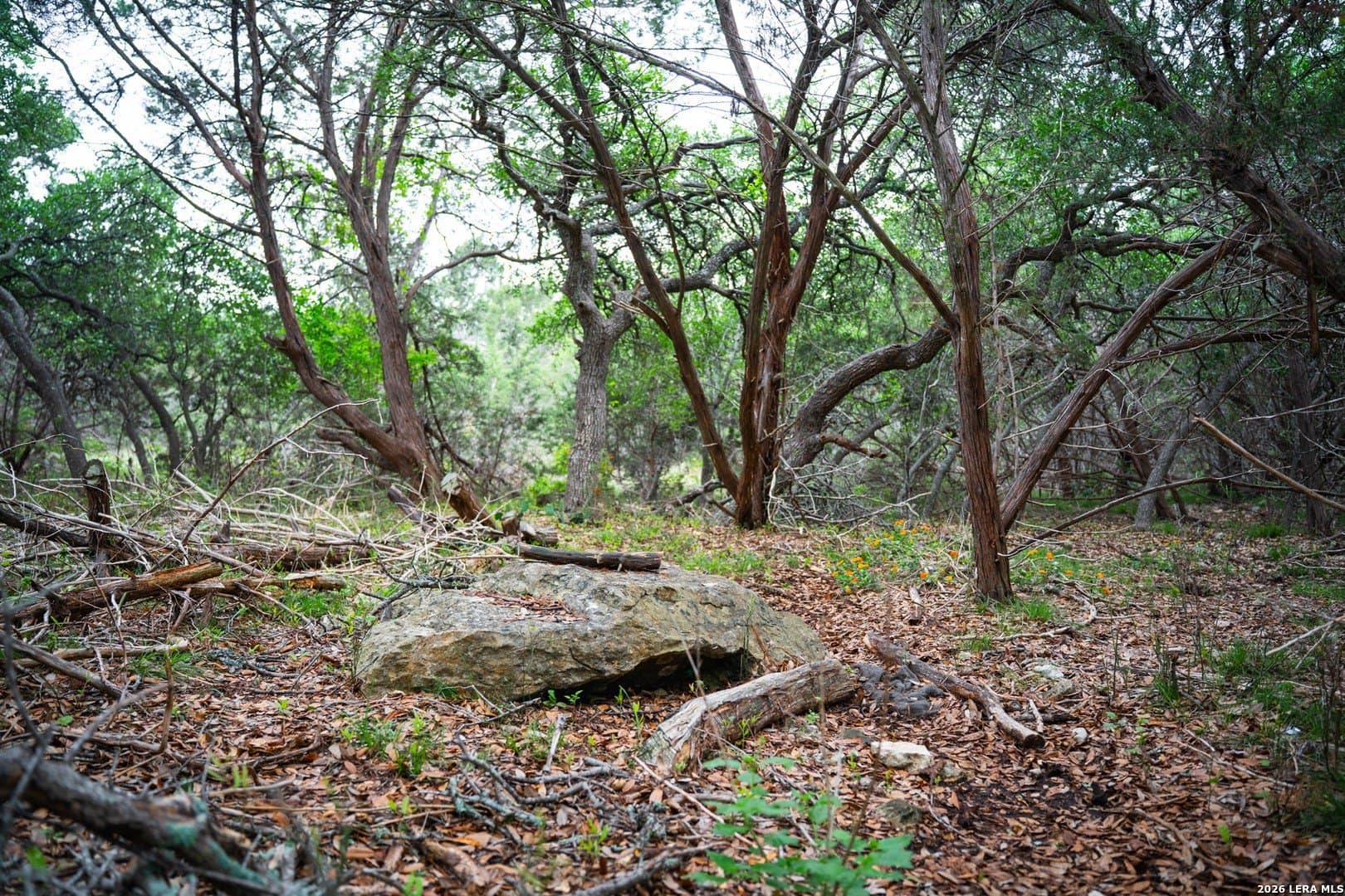 0.95 acres in Bexar County - photo 22
