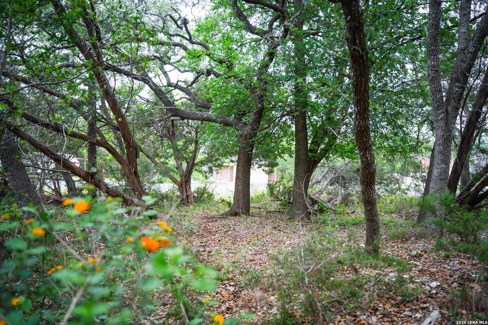 0.95 acres in Bexar County - photo 11