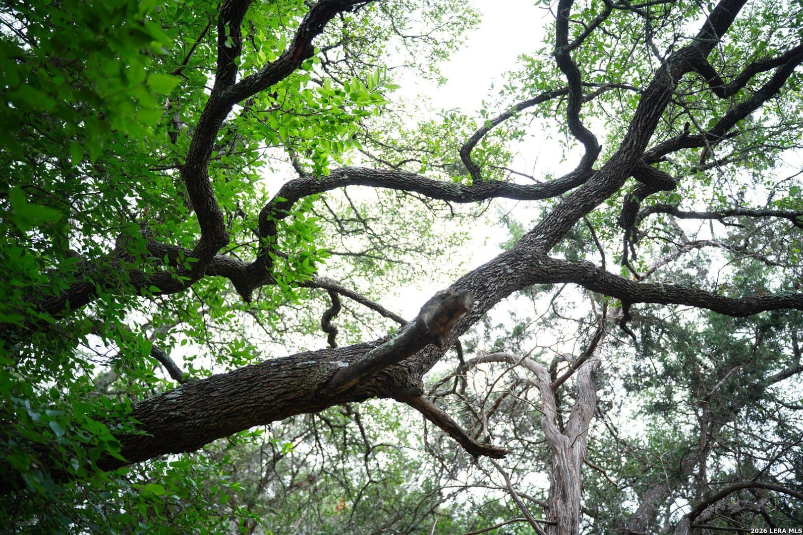 0.95 acres in Bexar County - photo 26