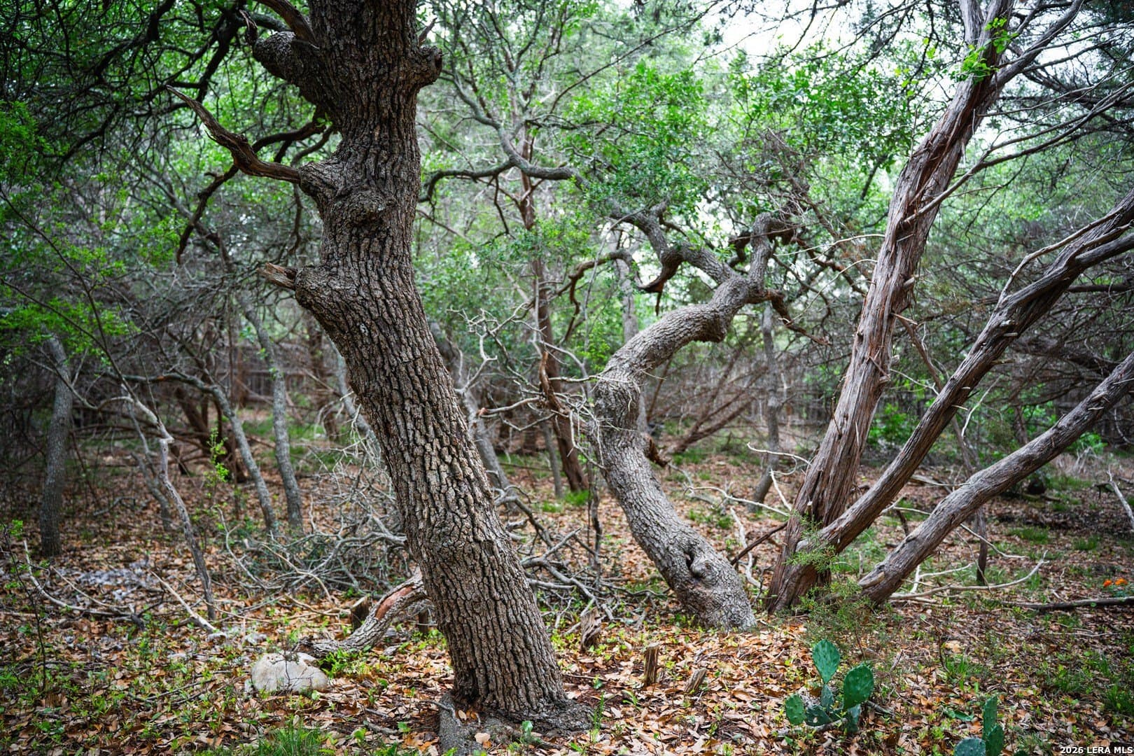 0.95 acres in Bexar County - photo 13
