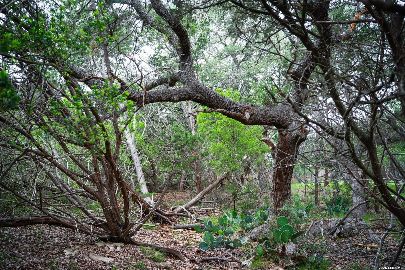 0.95 acres in Bexar County - photo 15