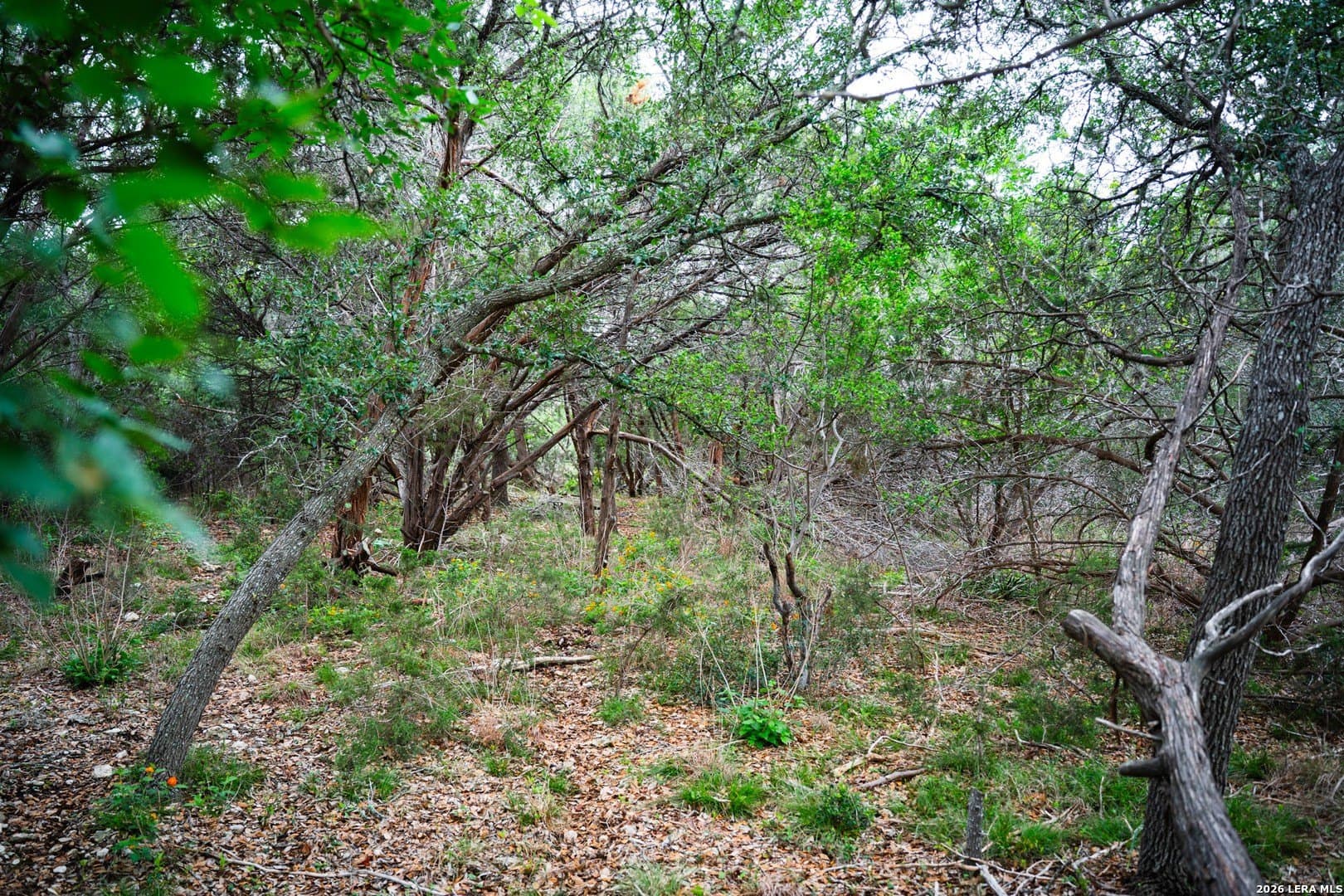 0.95 acres in Bexar County - photo 25
