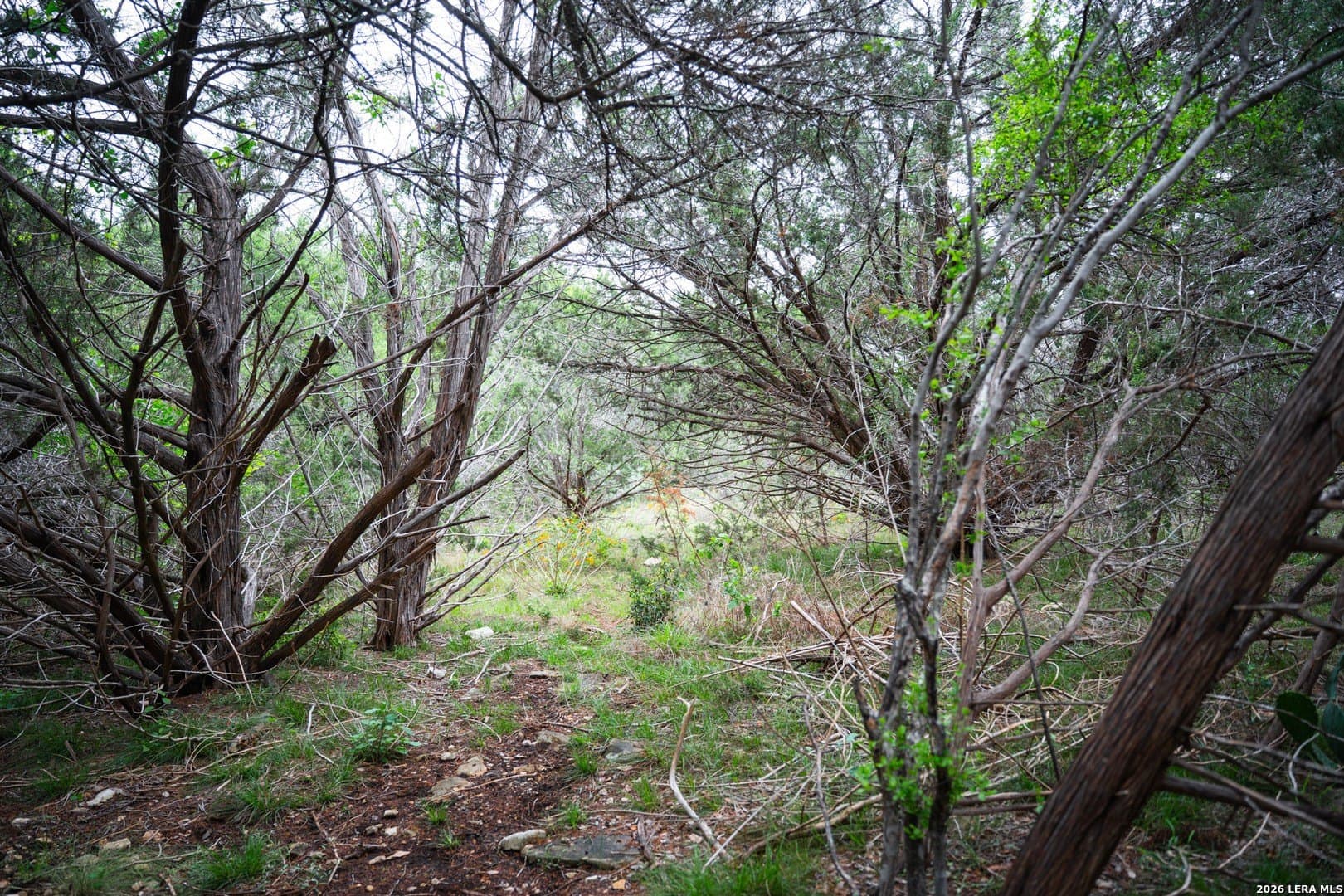 0.95 acres in Bexar County - photo 14