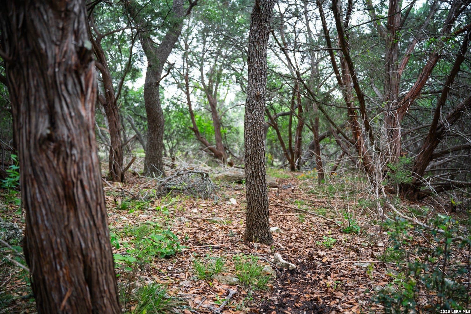 0.95 acres in Bexar County - photo 24