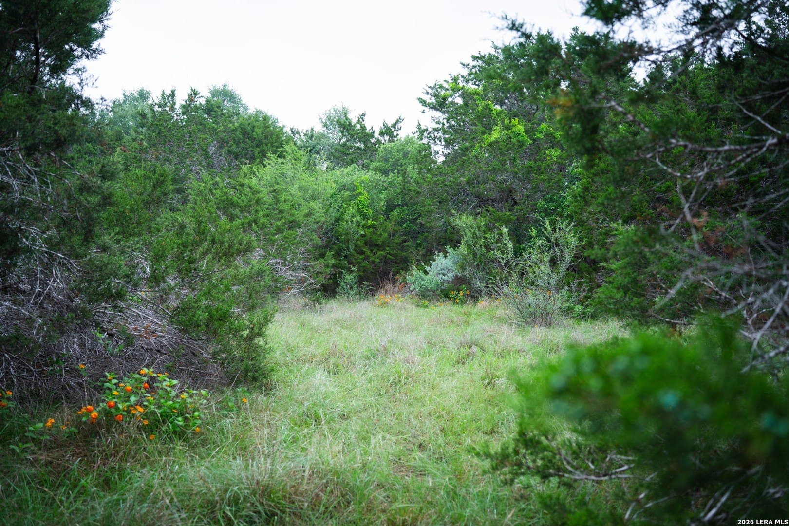 0.95 acres in Bexar County - photo 18
