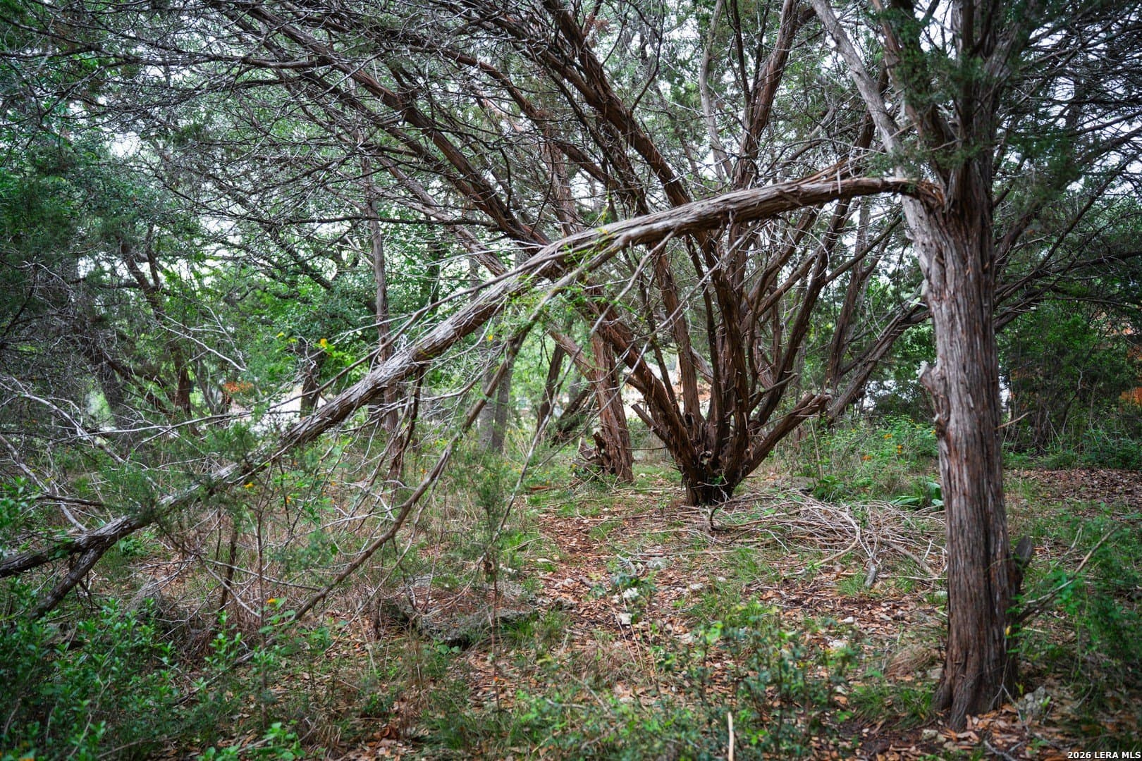 0.95 acres in Bexar County - photo 10