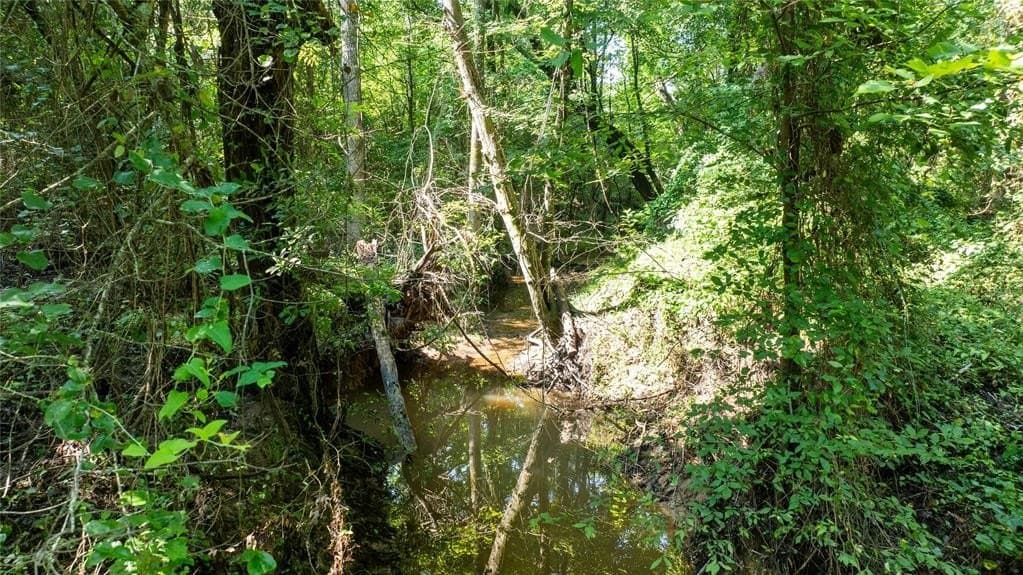 14.12 acres in Upshur County gallery image 4