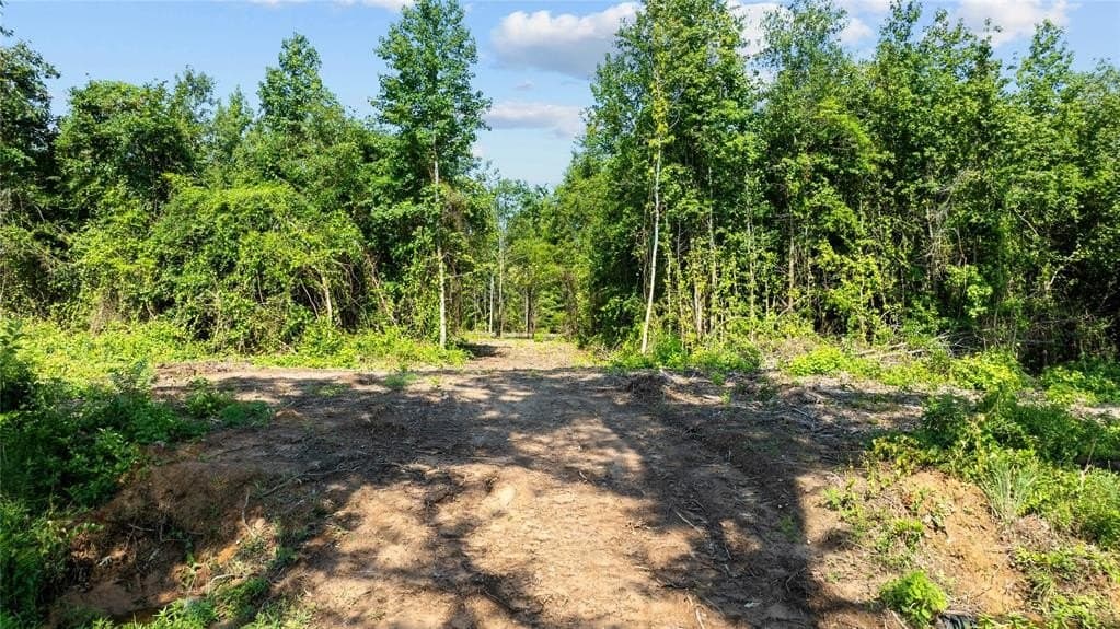 14.12 acres in Upshur County featured view
