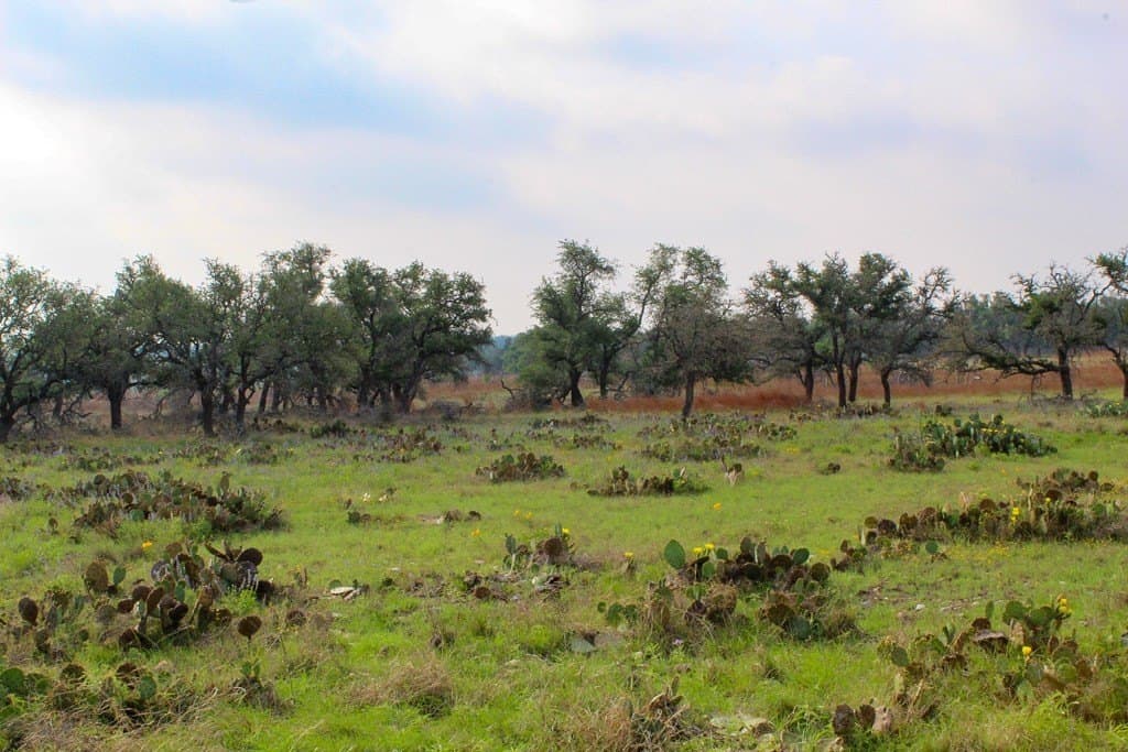 6.65 acres in Kerr County gallery image 2