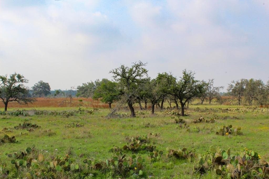 6.65 acres in Kerr County