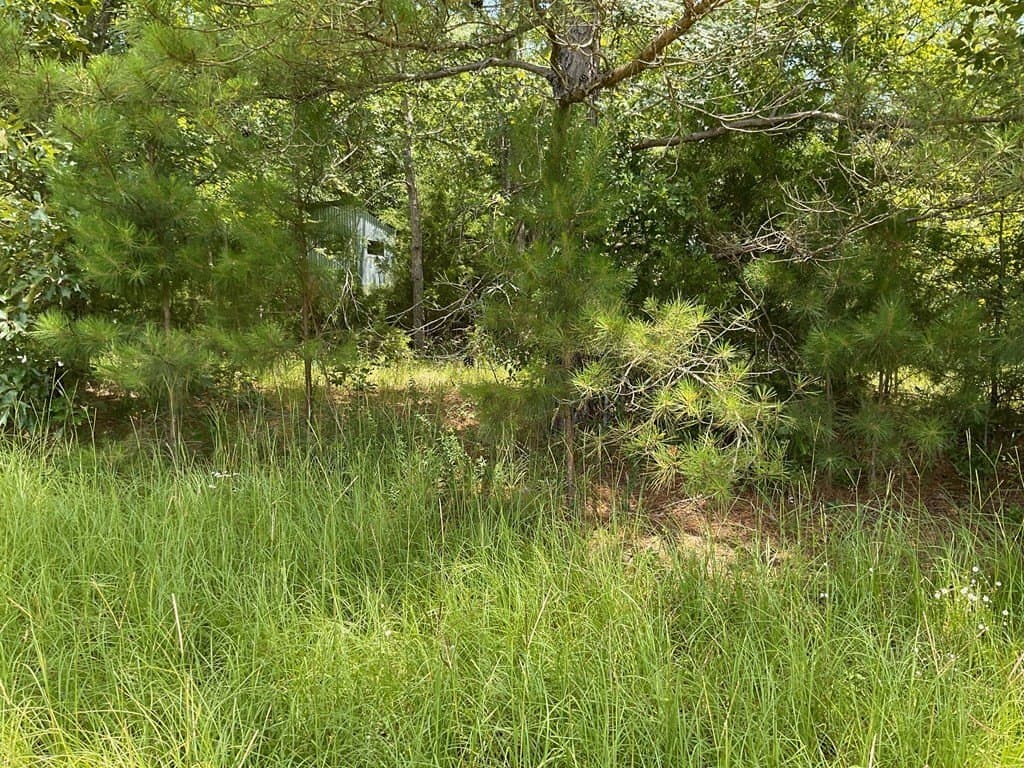 14.38 acres in HENDERSON County gallery image 2