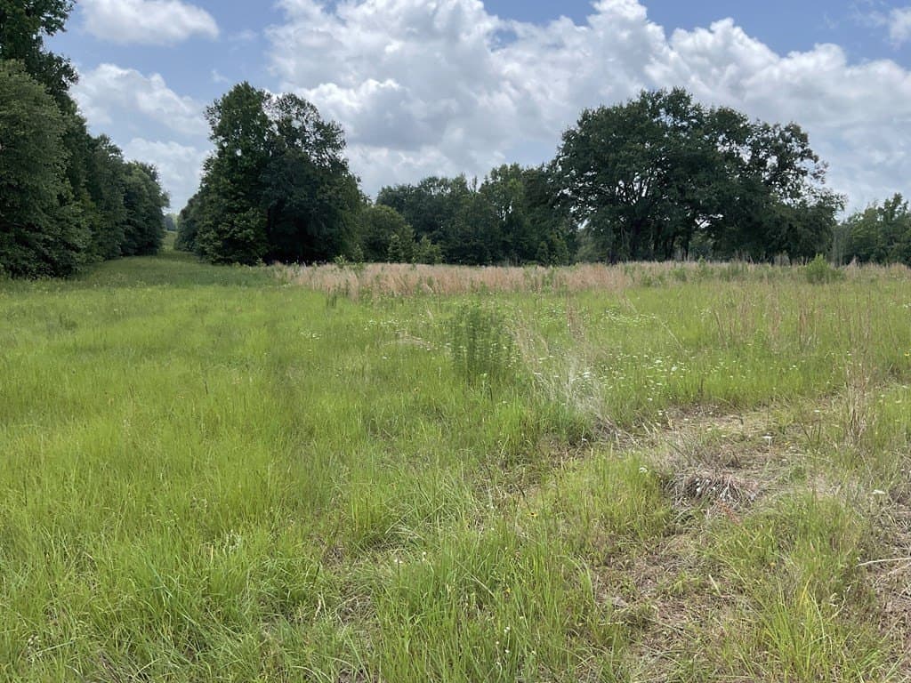 14.38 acres in HENDERSON County gallery image 4