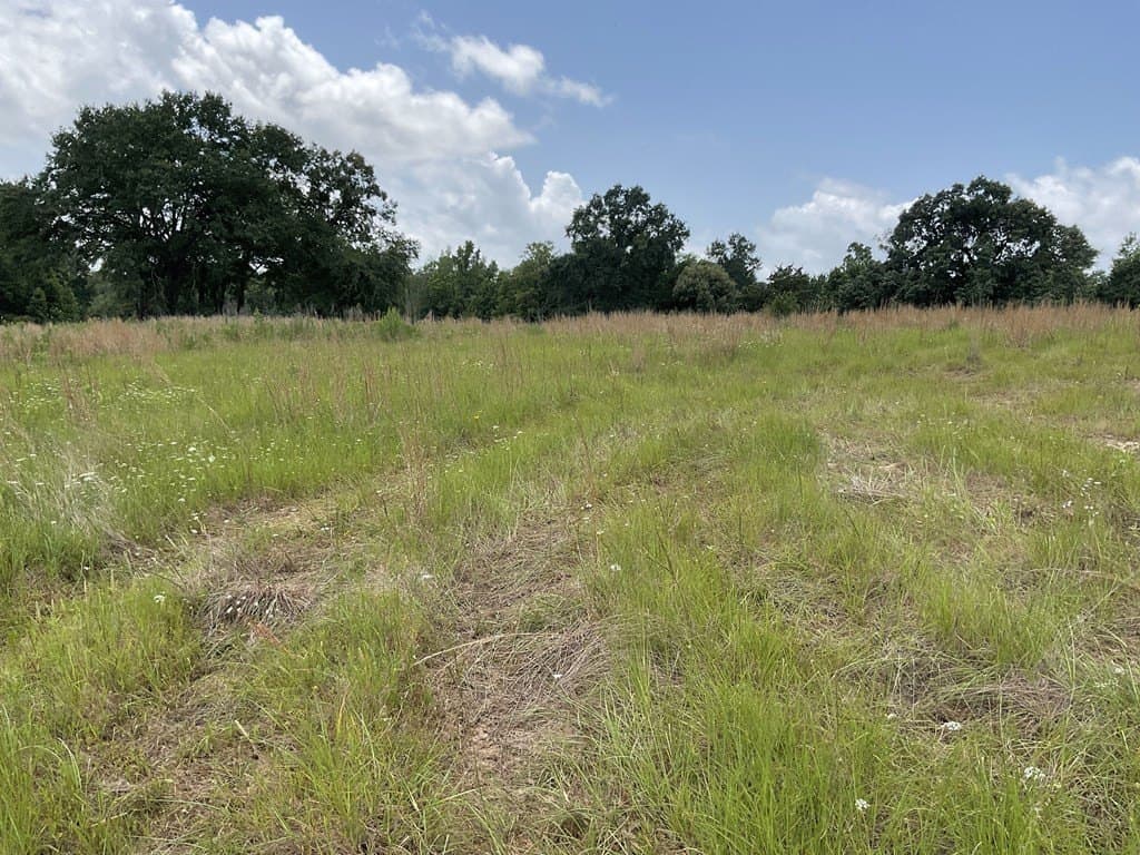 14.38 acres in HENDERSON County gallery image 3