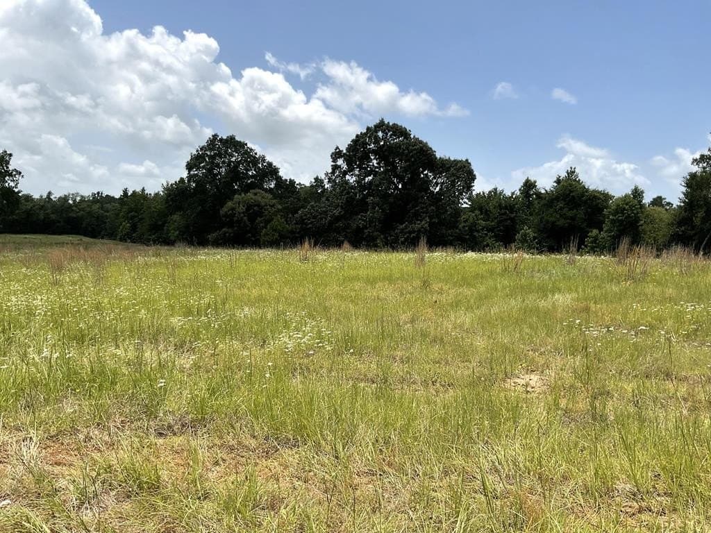 14.38 acres in HENDERSON County