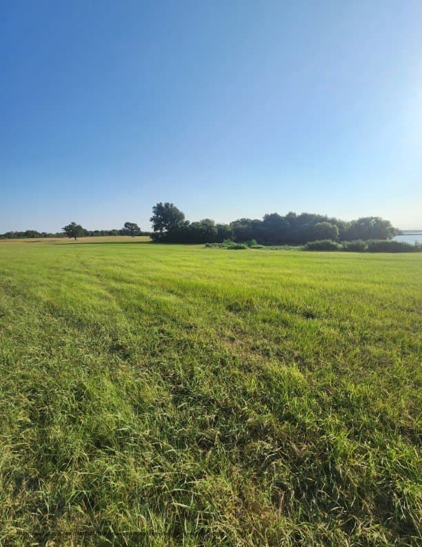 2.38 acres in Navarro County - photo 16