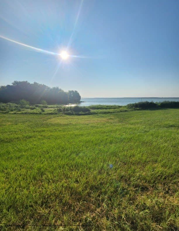 2.38 acres in Navarro County gallery image 3