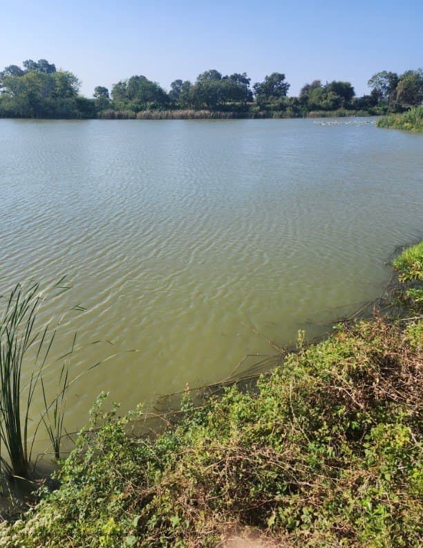 2.38 acres in Navarro County gallery image 4