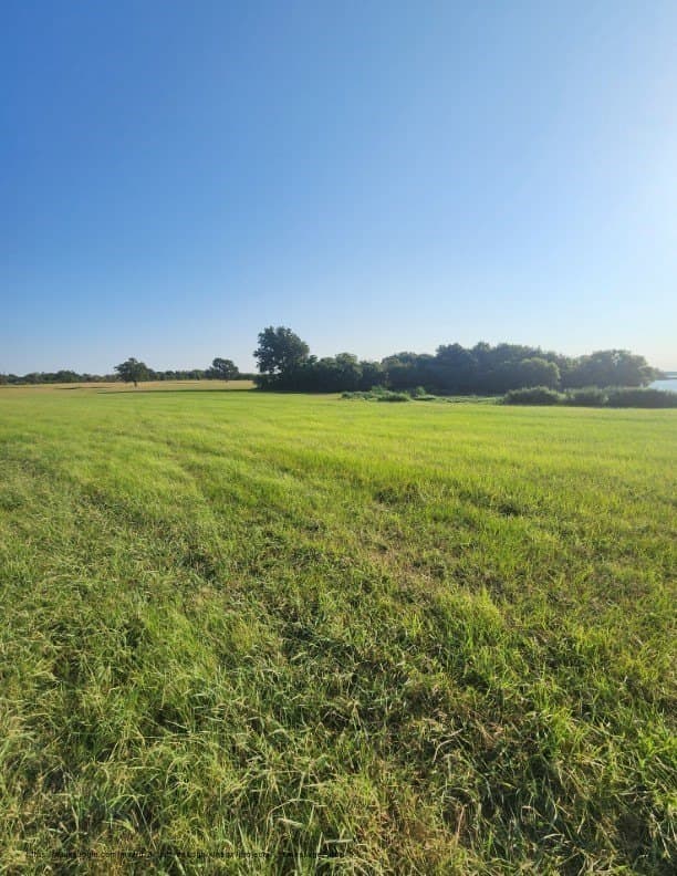 2.38 acres in Navarro County - photo 10