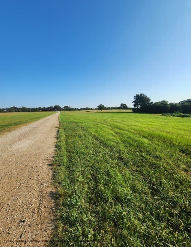 2.38 acres in Navarro County - photo 9