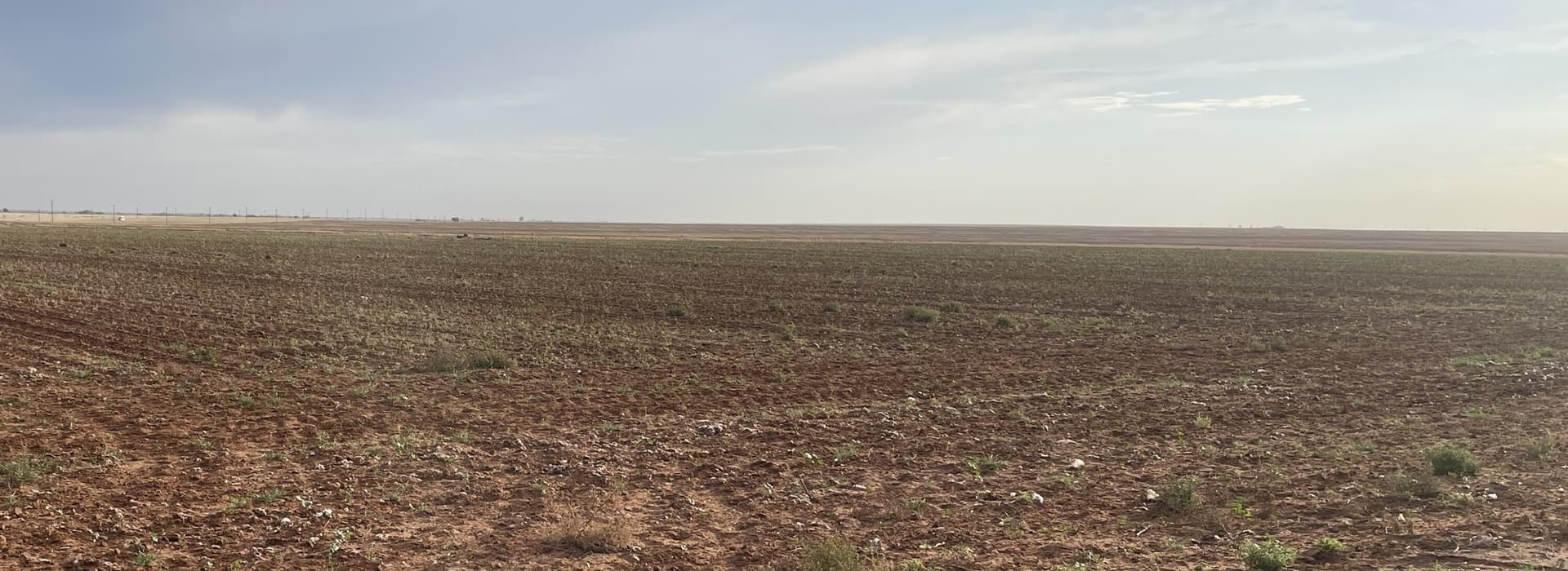 0 acres in Dawson County gallery image 2