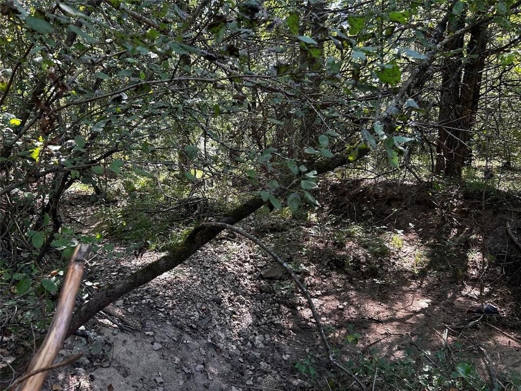 2.5 acres in Kaufman County gallery image 3