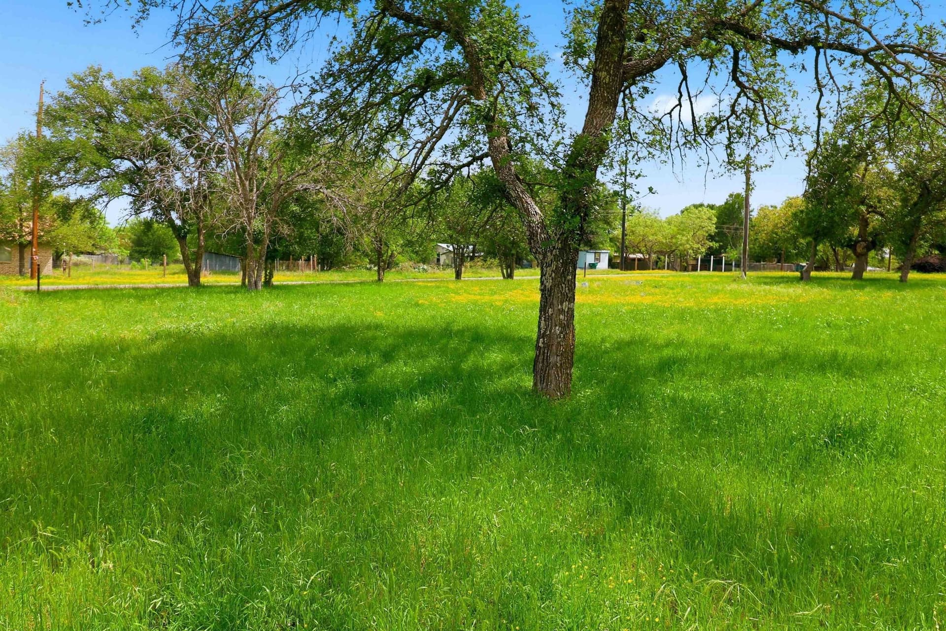 0.23 acres in Burnet County - photo 7
