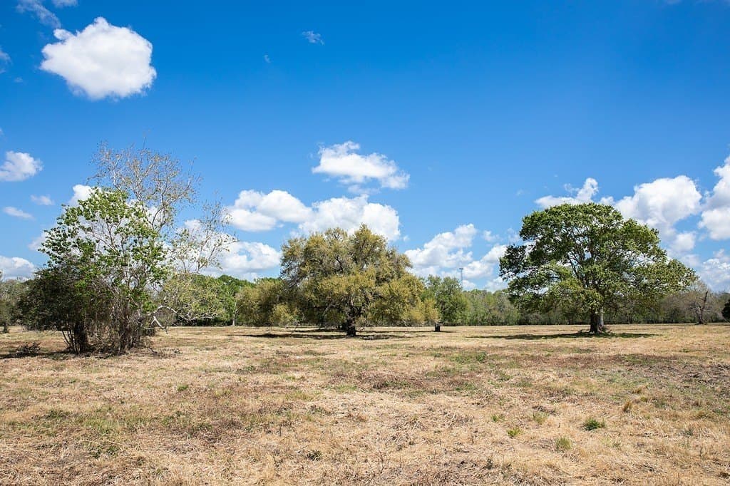 14.5 acres in Brazoria County gallery image 3
